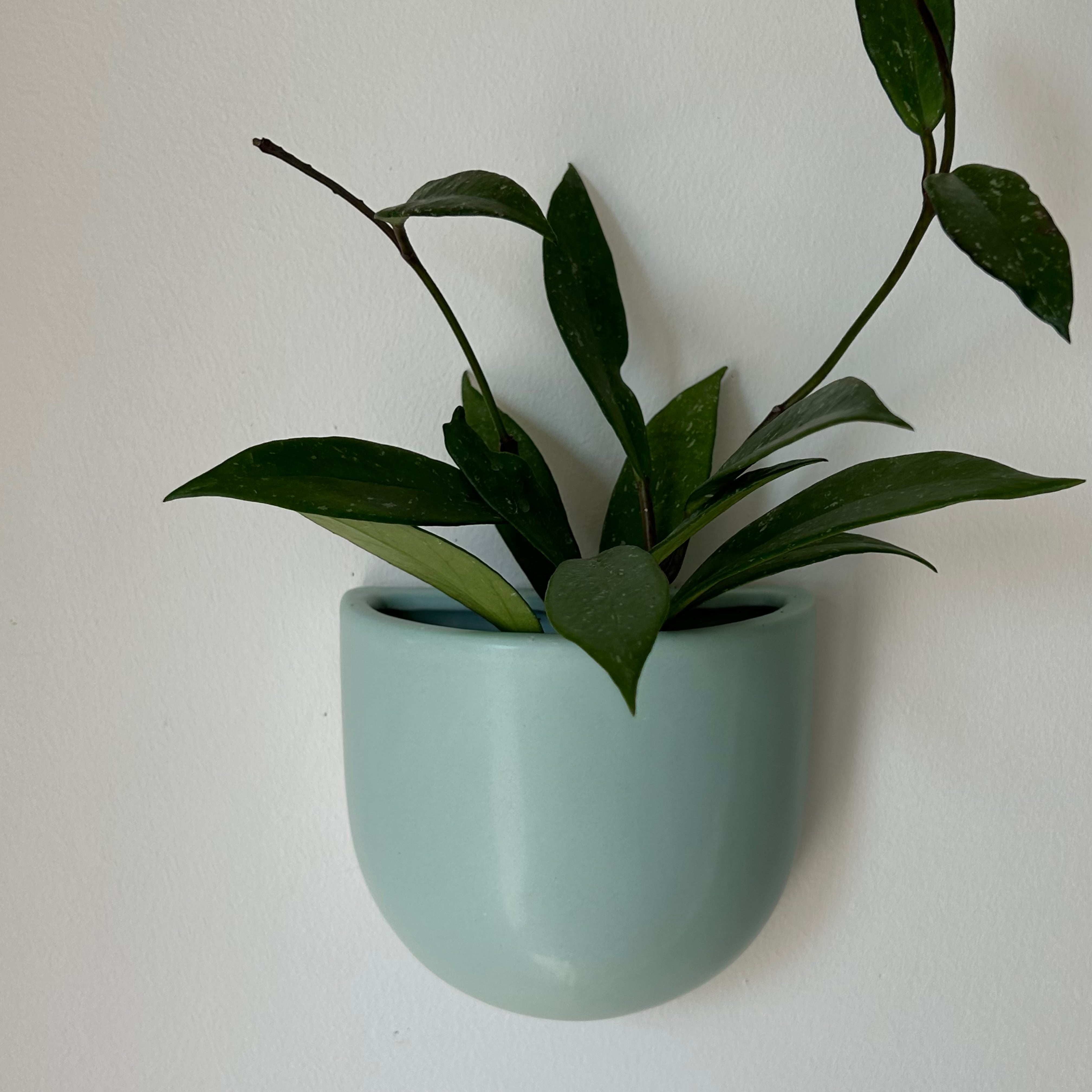 Modern Ceramic Wall Pocket TEAL