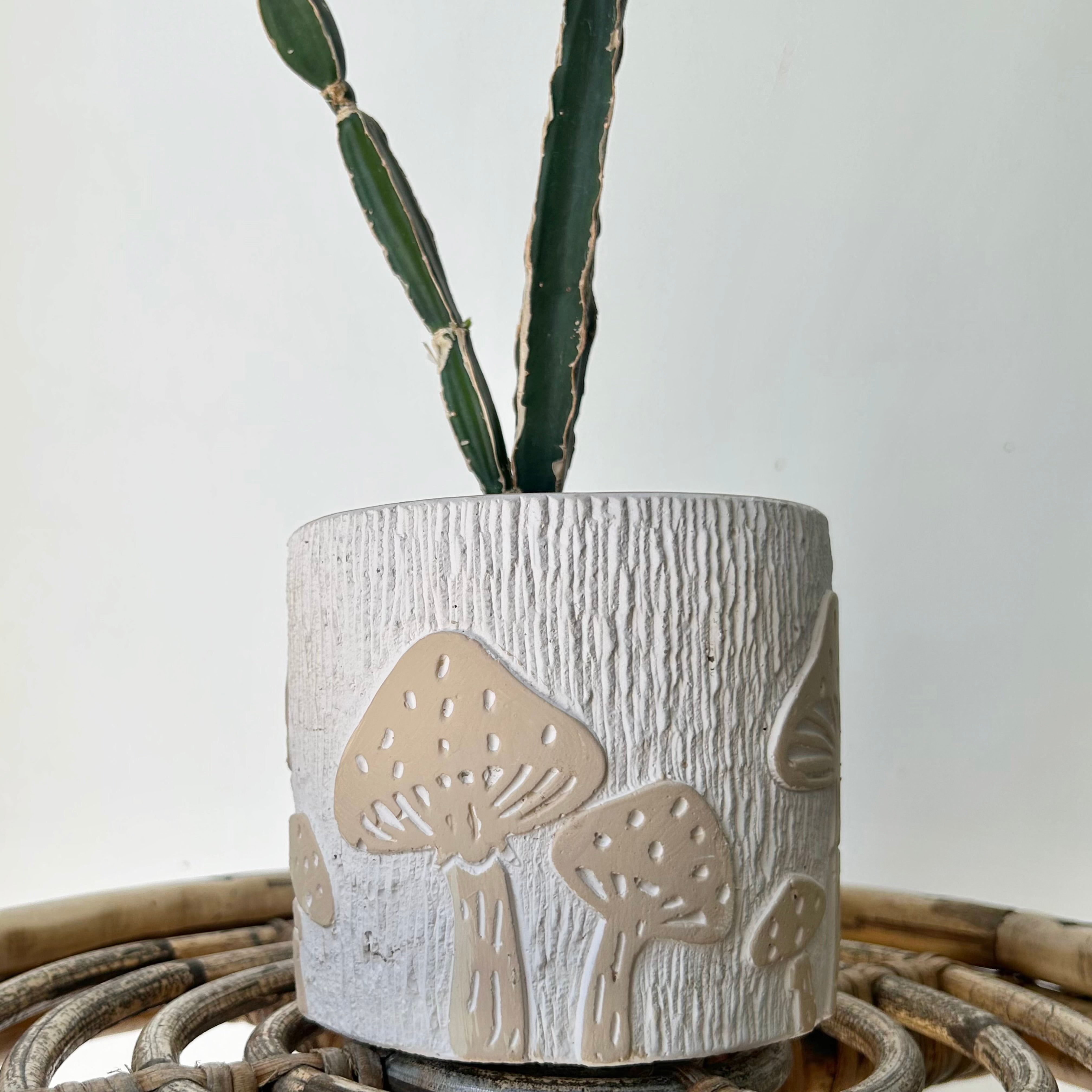 Decorative Planter Mushroom Design (5”x5”)