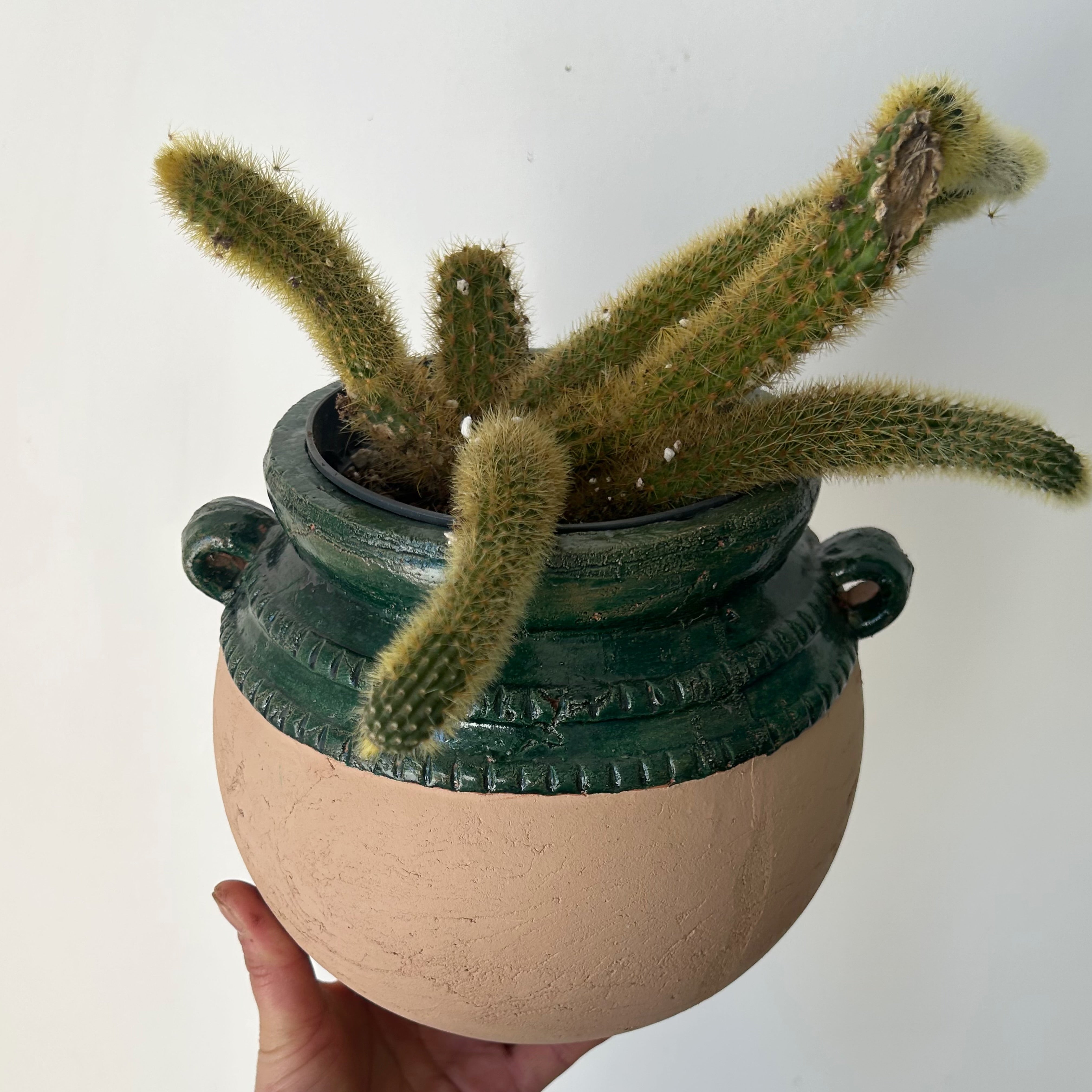 IRENE Bulbous Decorative Planter (5”x7”)