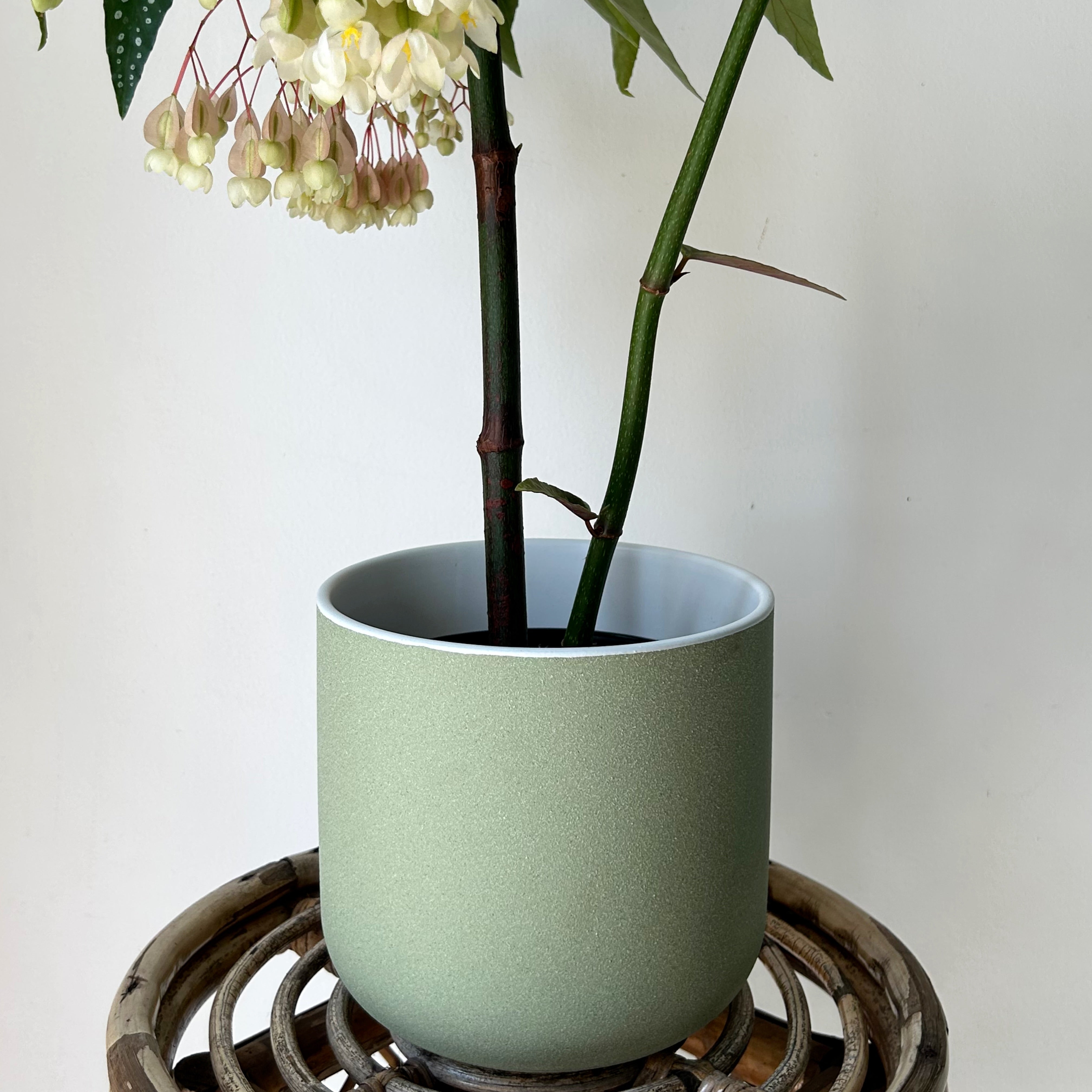 CLOVER Decorative Pot (8”x7.5”)