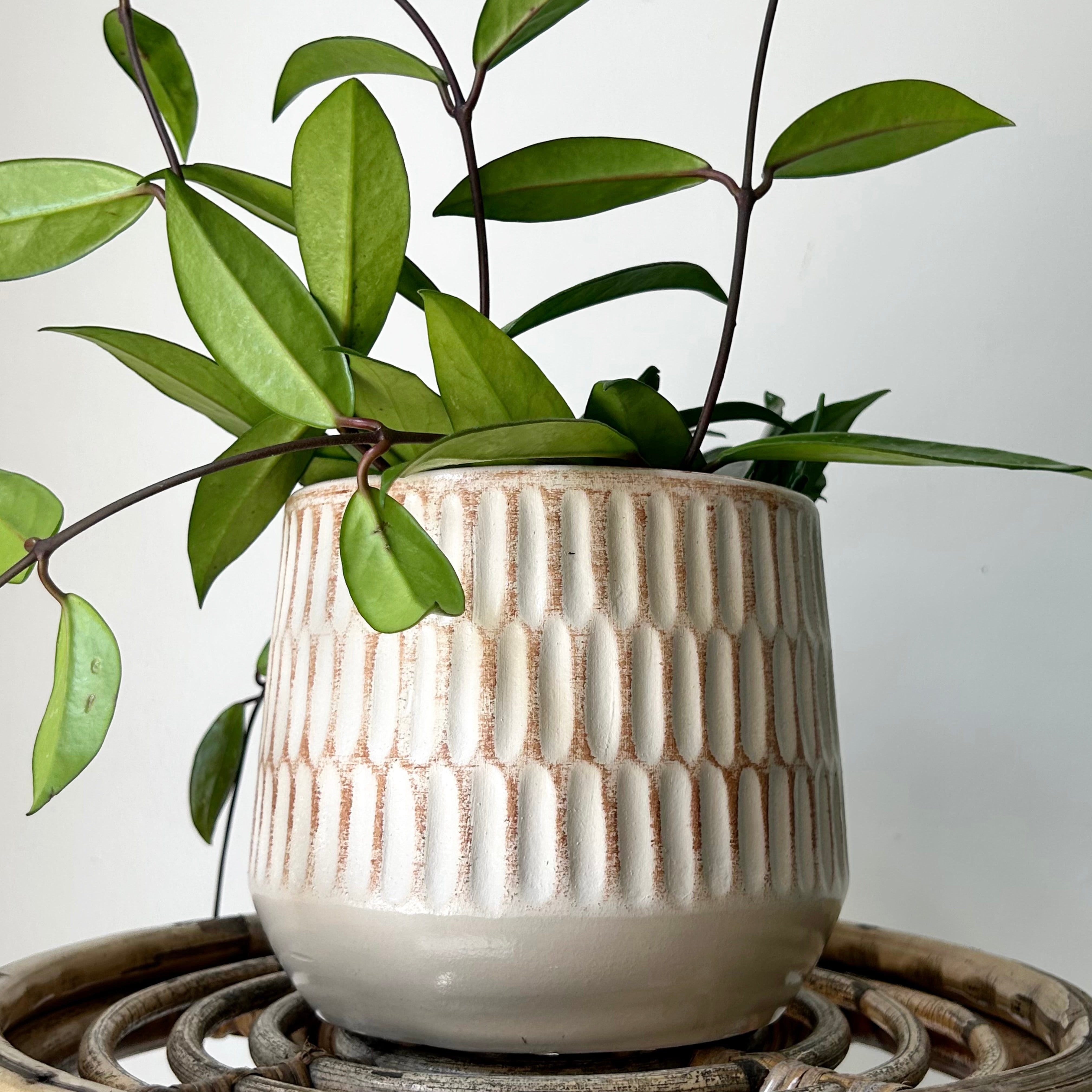 NORA Decorative Pot (5.75”x5.75”)