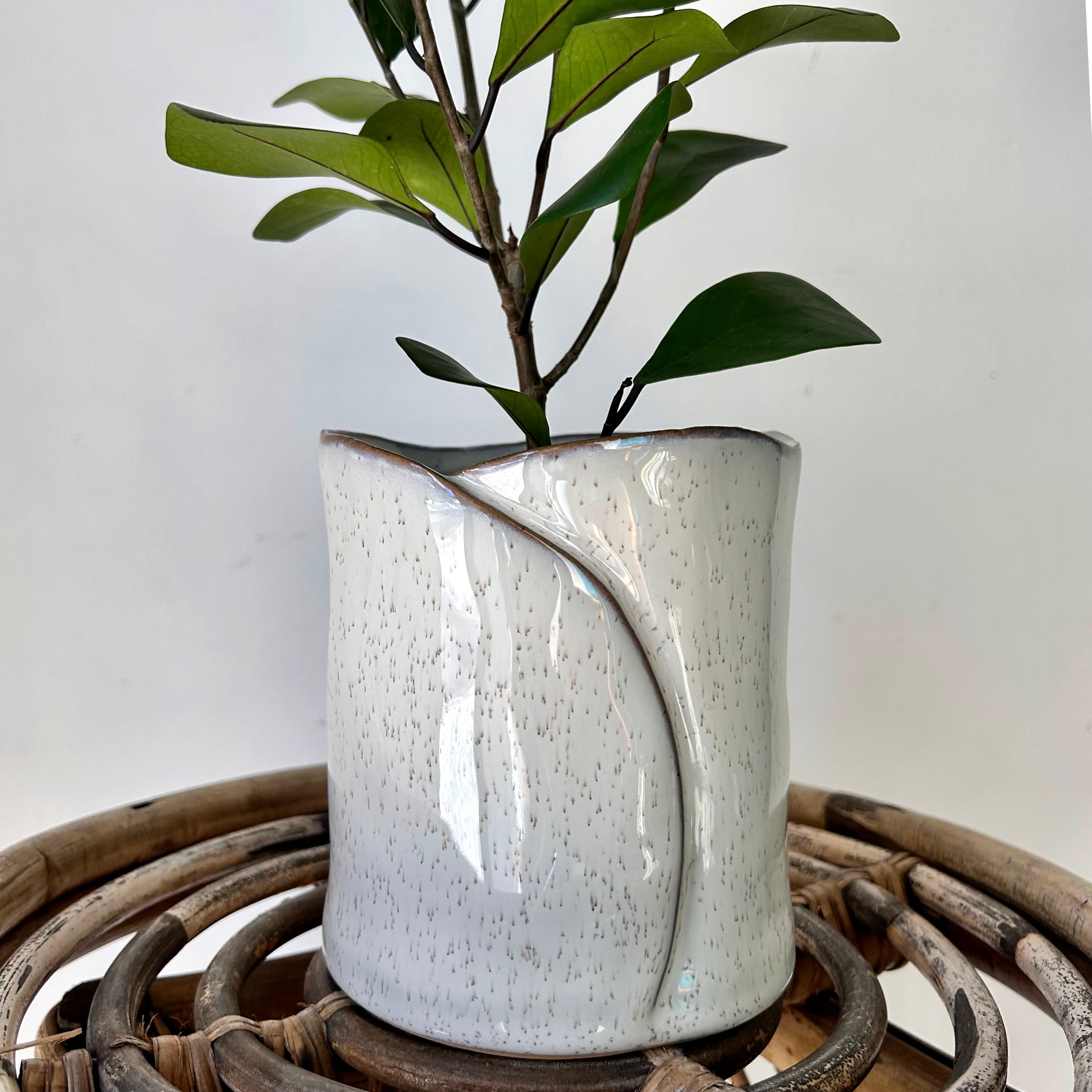 DIANE Decorative Pot (4.5"X5")