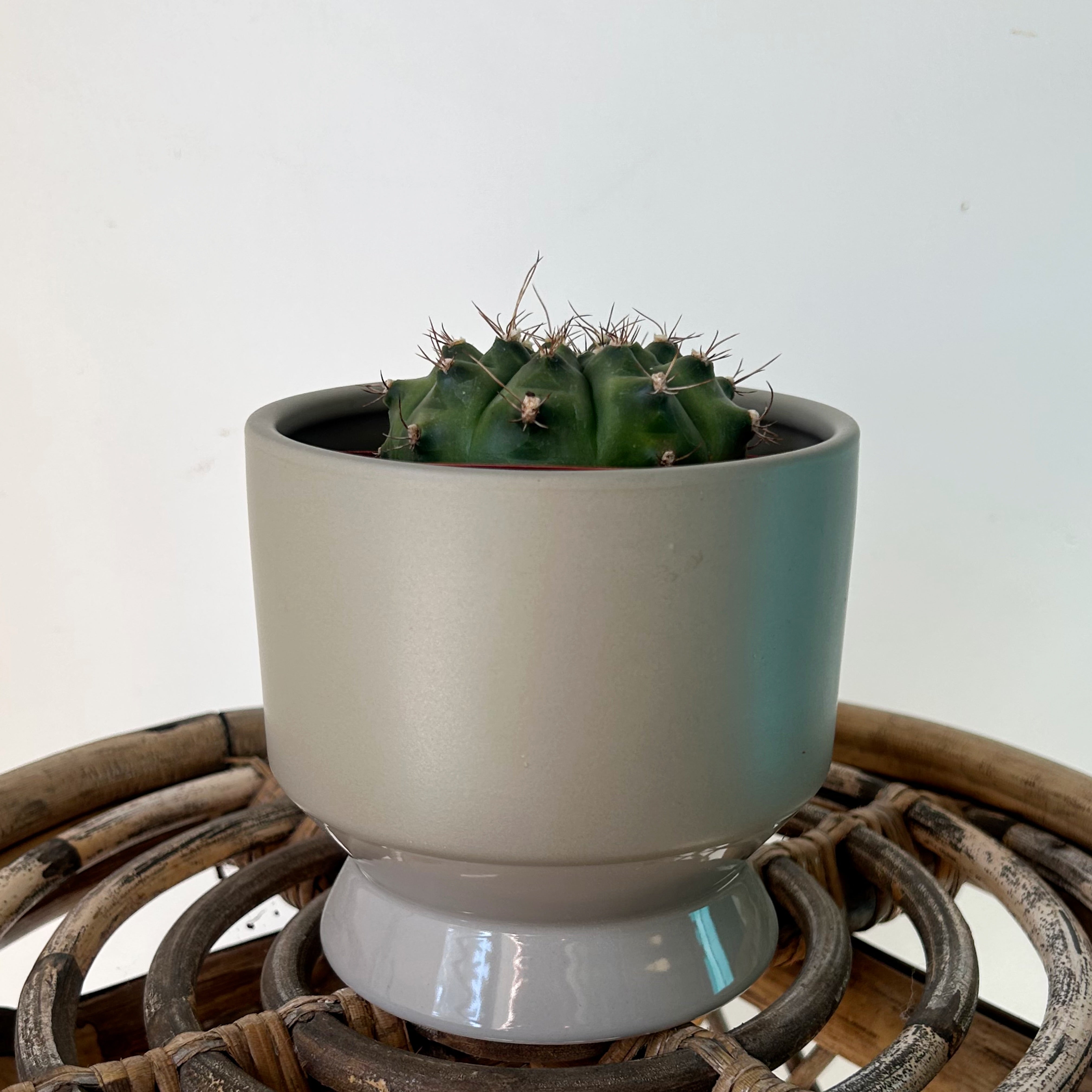 PASADENA Decorative Raised Pot 4.5”x5” (available in three colours)