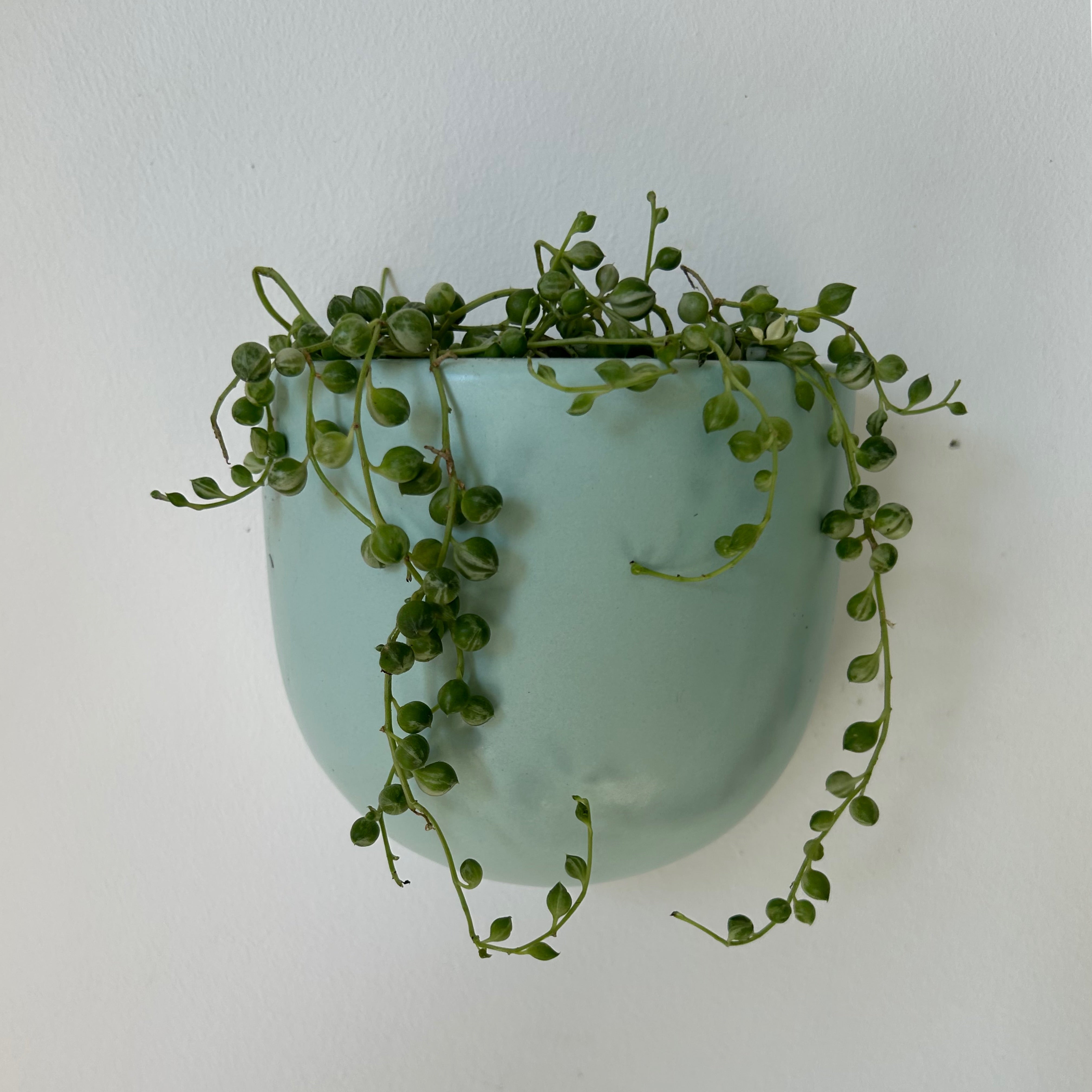 Modern Ceramic Wall Pocket TEAL