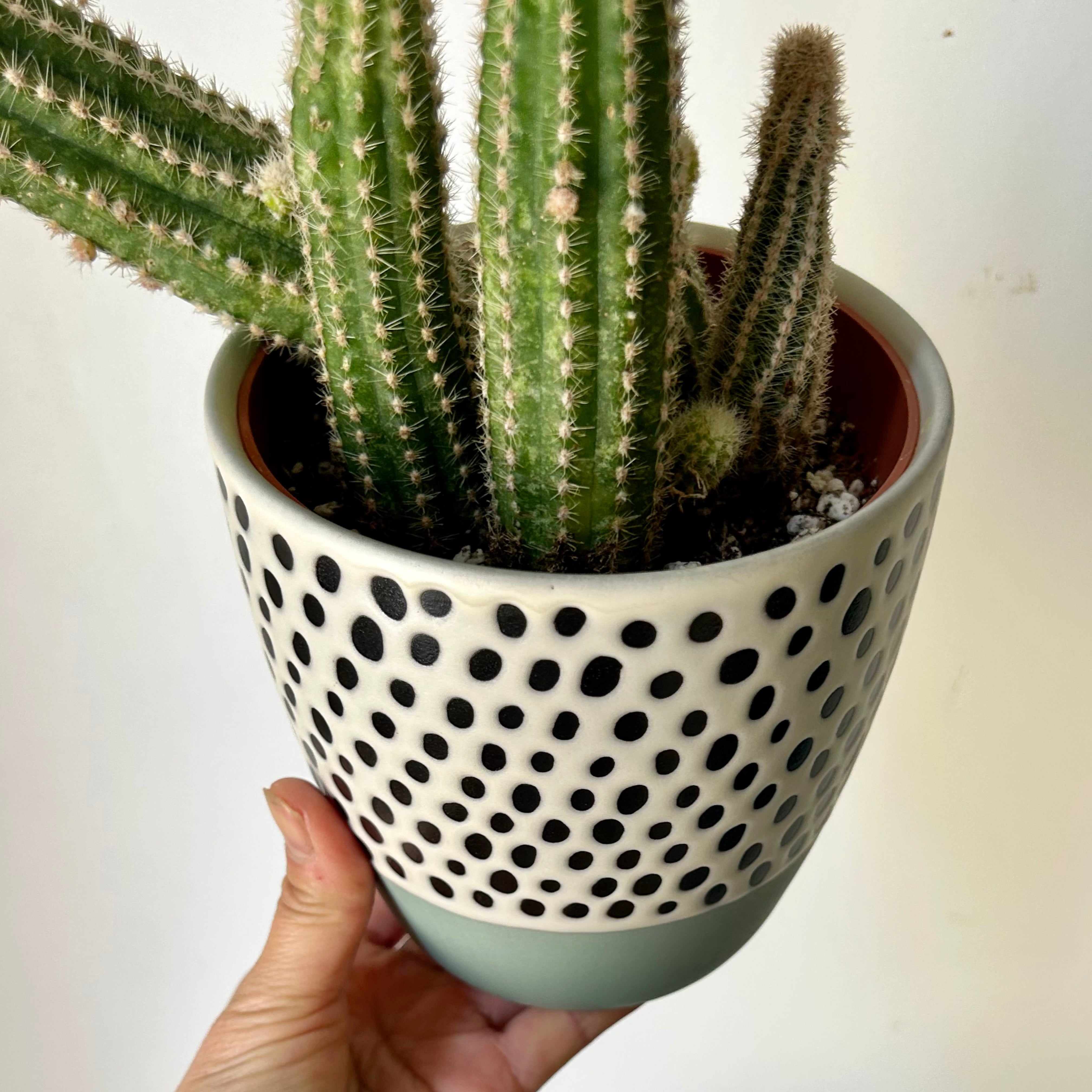 DOT Decorative Ceramic Pot (5”x5”)