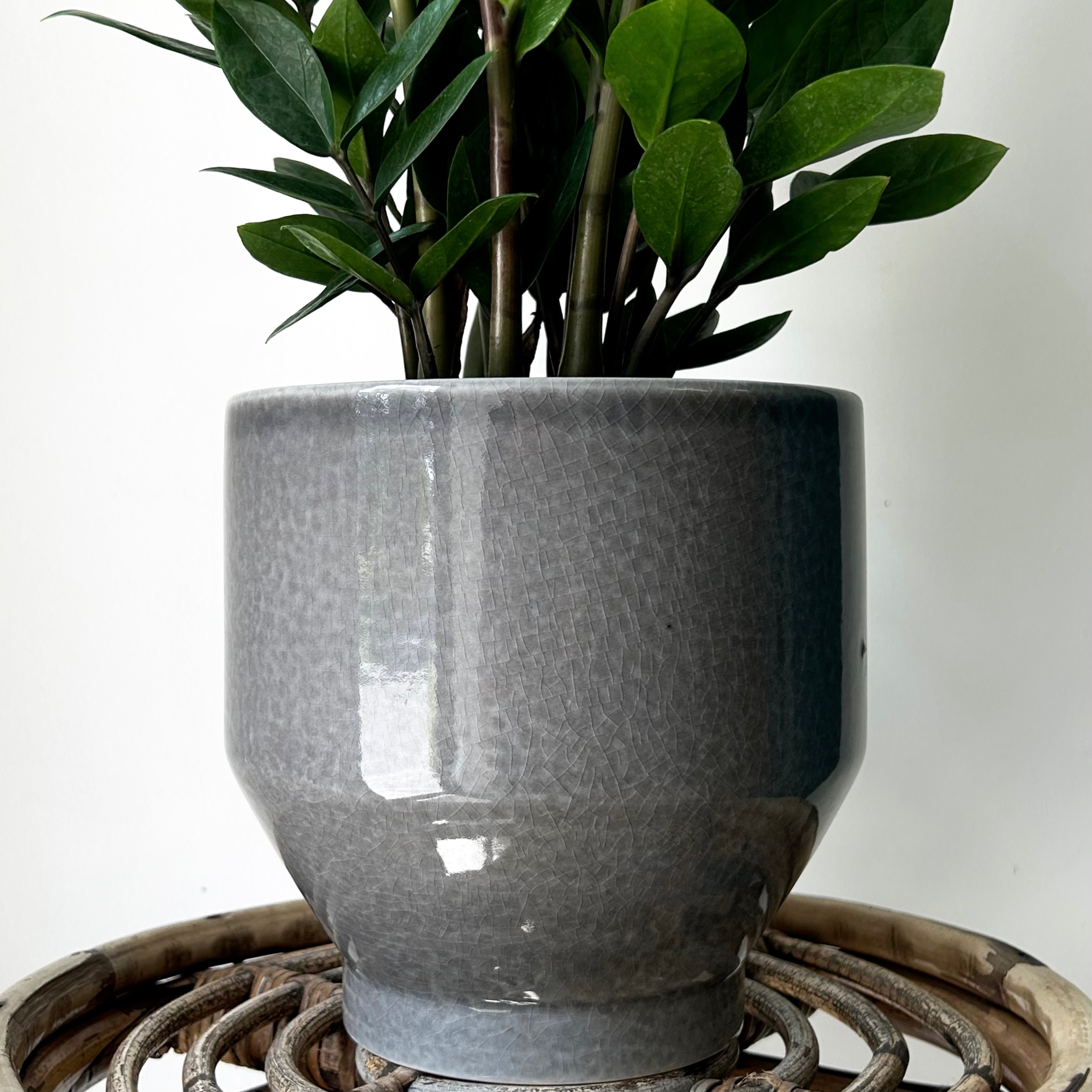 ELLIS decorative tapered ceramic pot (7”x7”)Glossy Grey