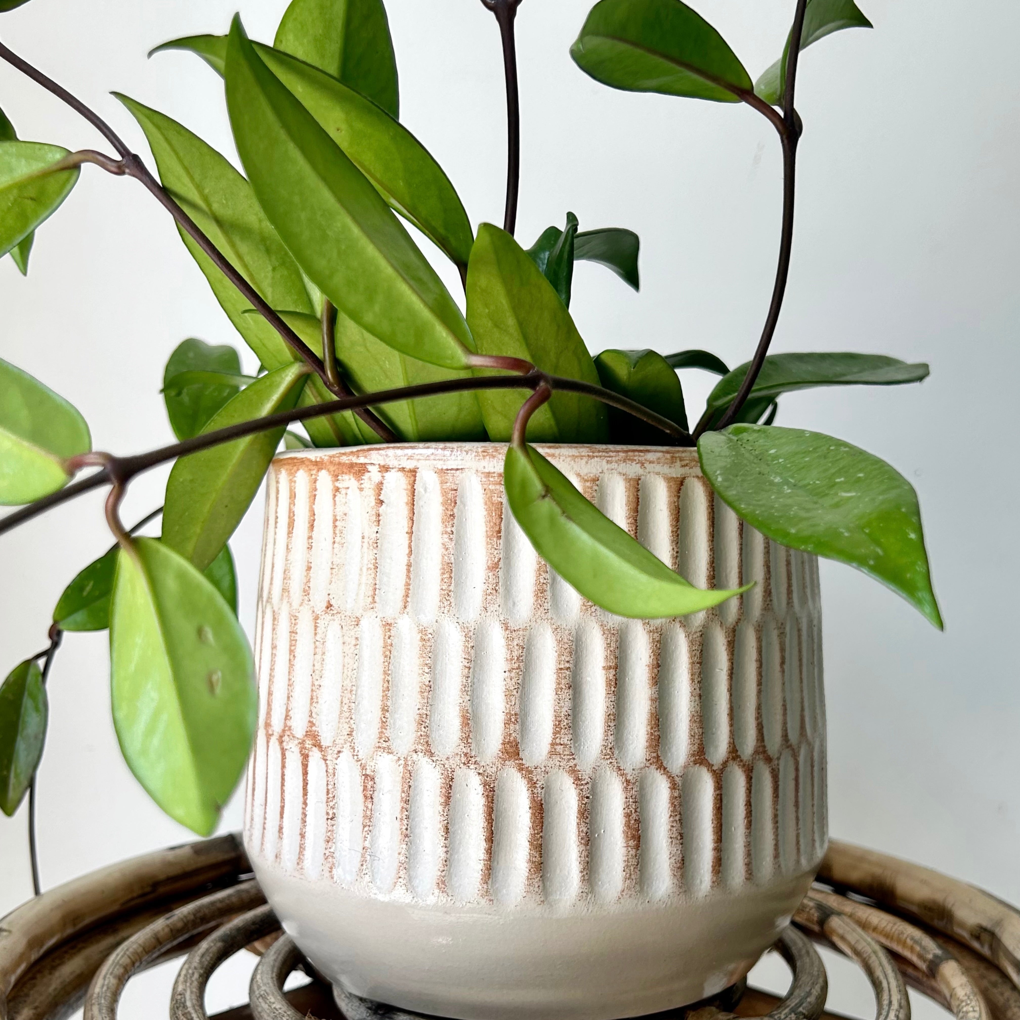 NORA Decorative Pot (5.75”x5.75”)