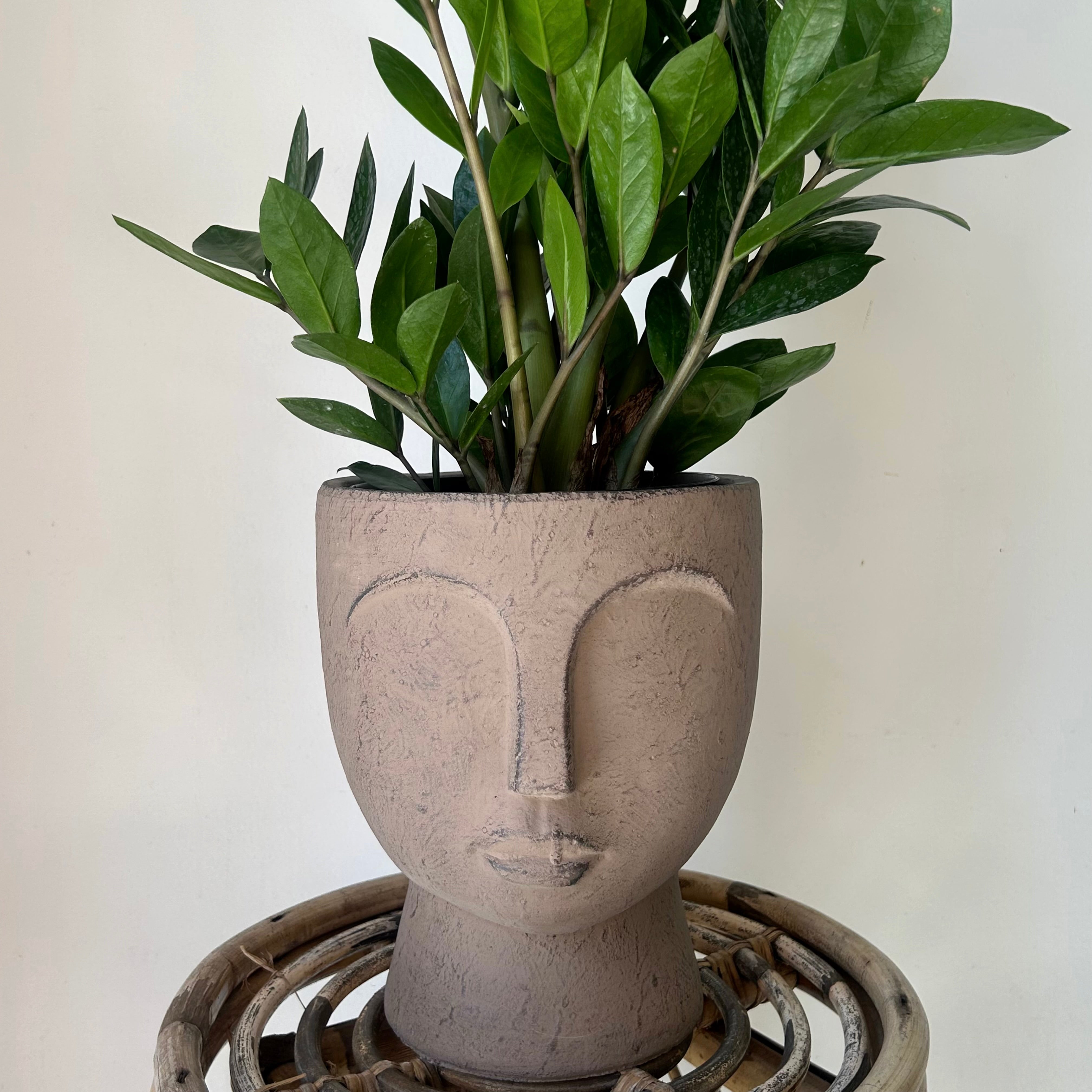 JUNO Pedestal Face Planter (7”x9)