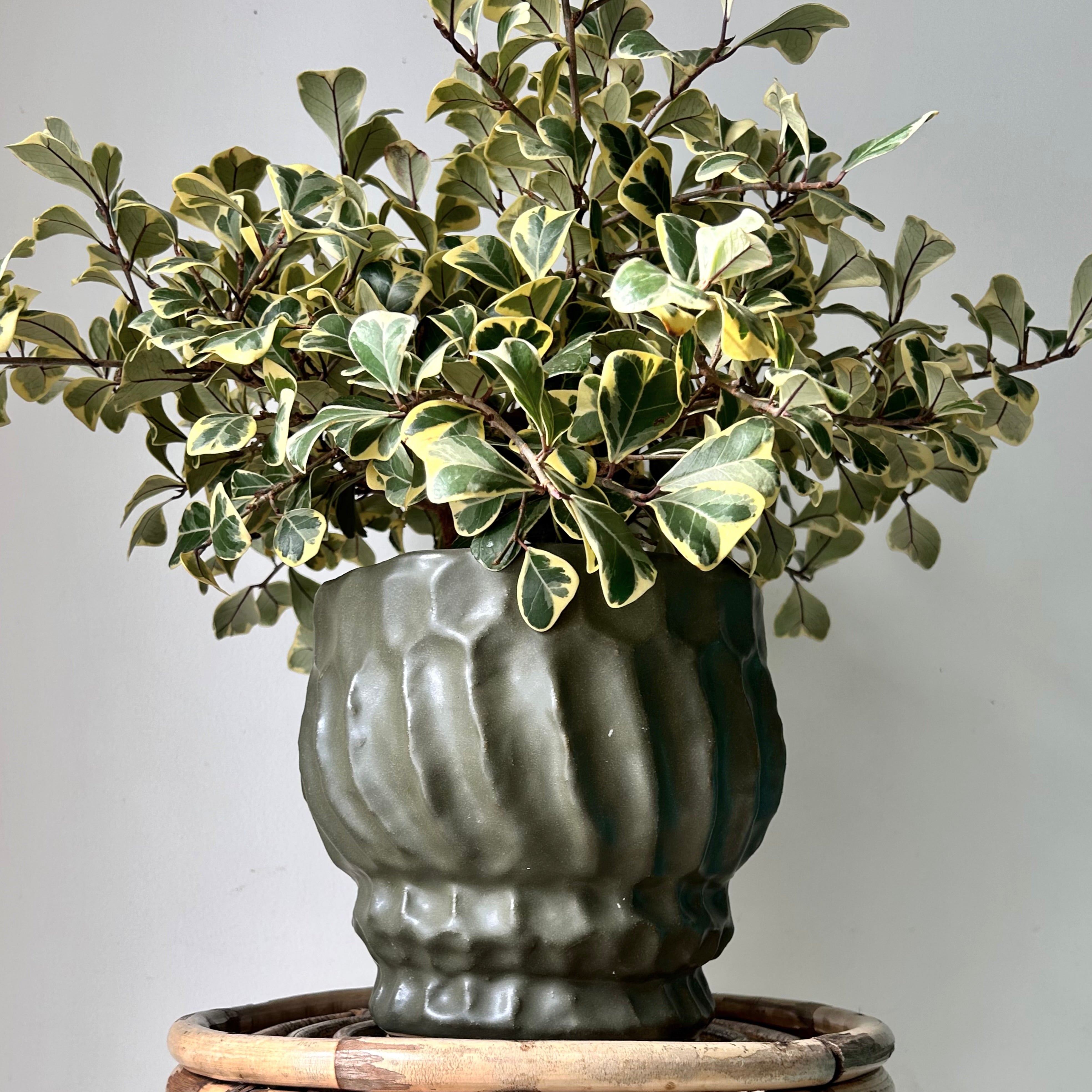 IRIS Raised Decorative Pot (7.5”x7.5”)