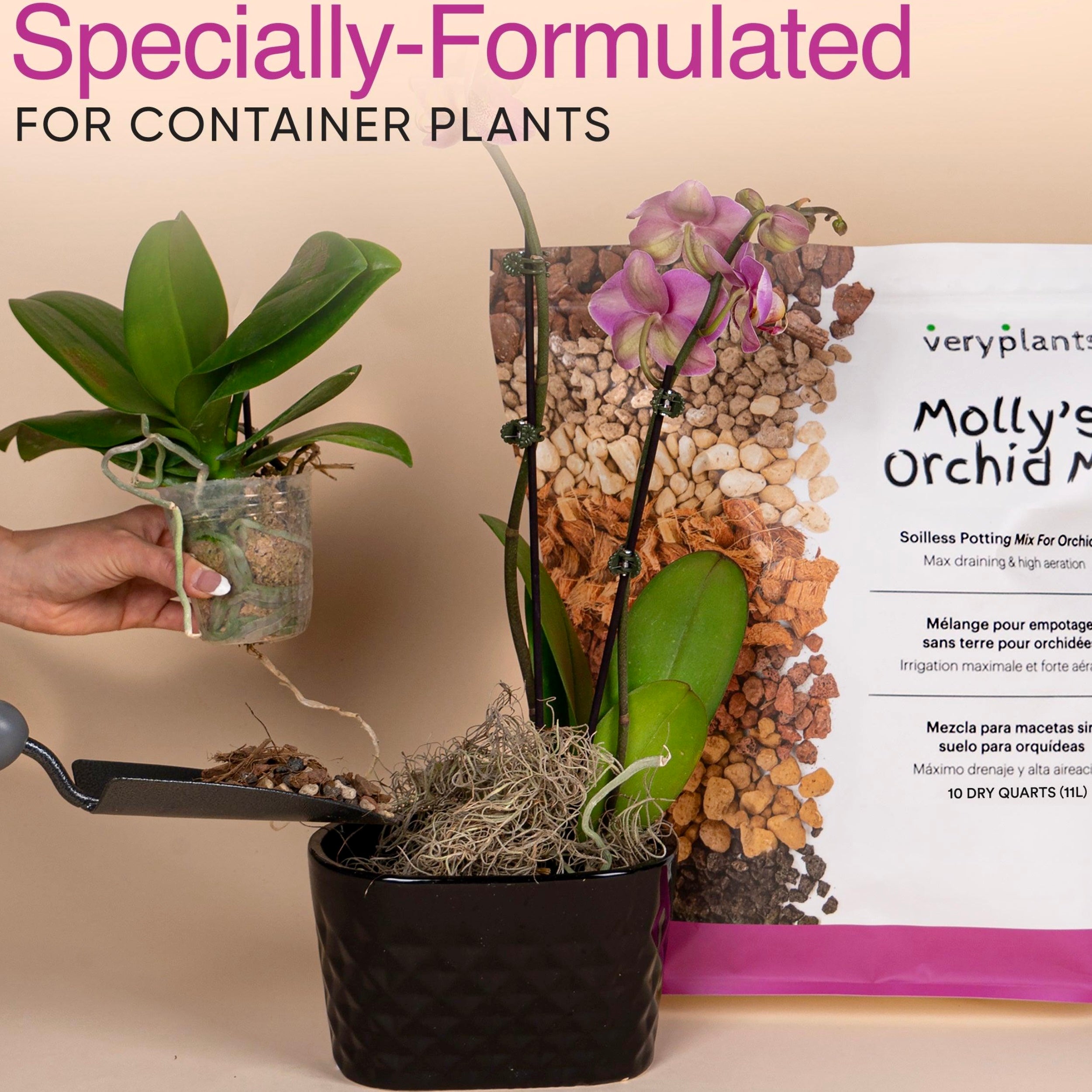 Molly's Orchid Mix - Premium Soilless Orchid Potting Mix 5.5 litres
