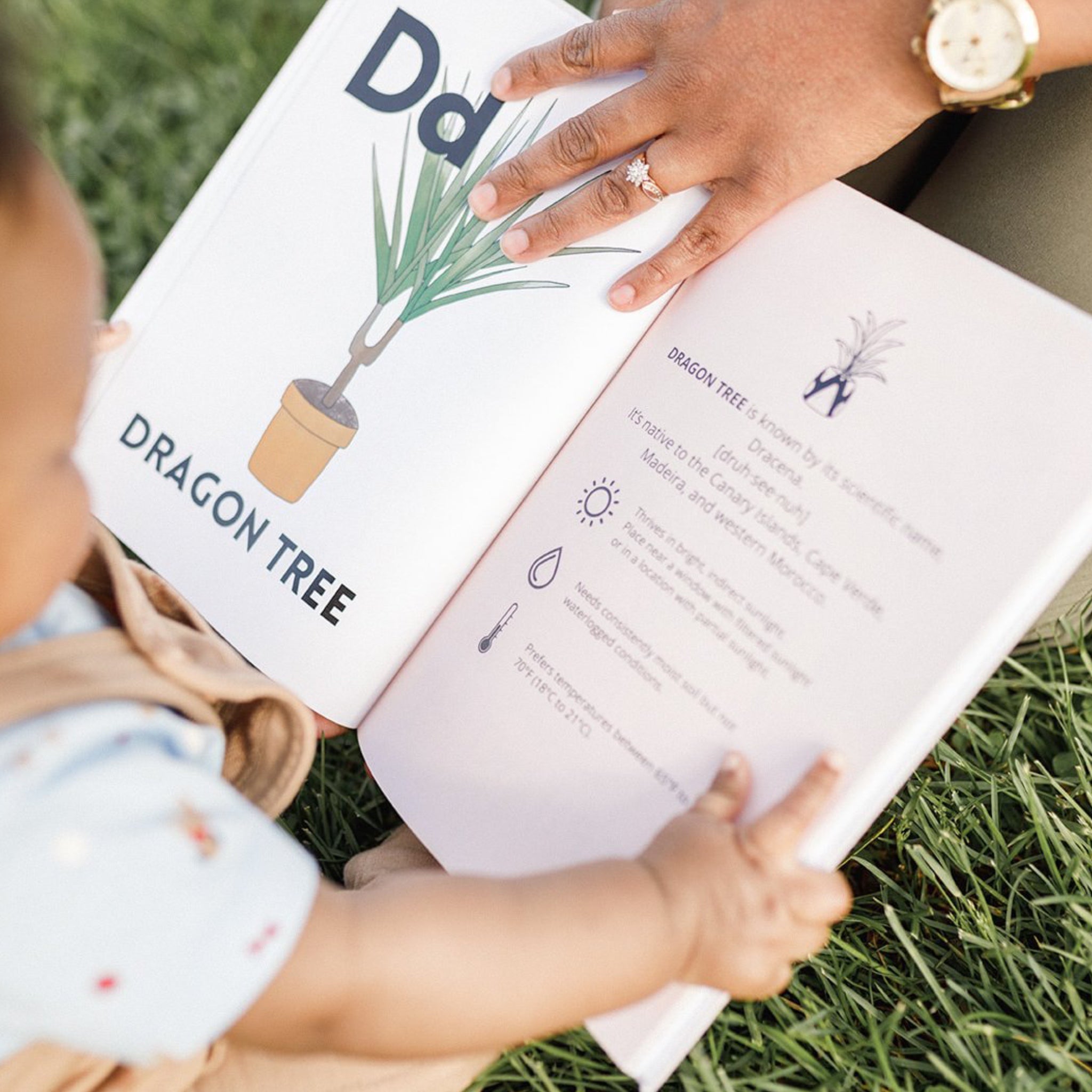 My First ABC Book of Houseplants: Exclusive Edition (Printed in Ottawa, ON Canada)