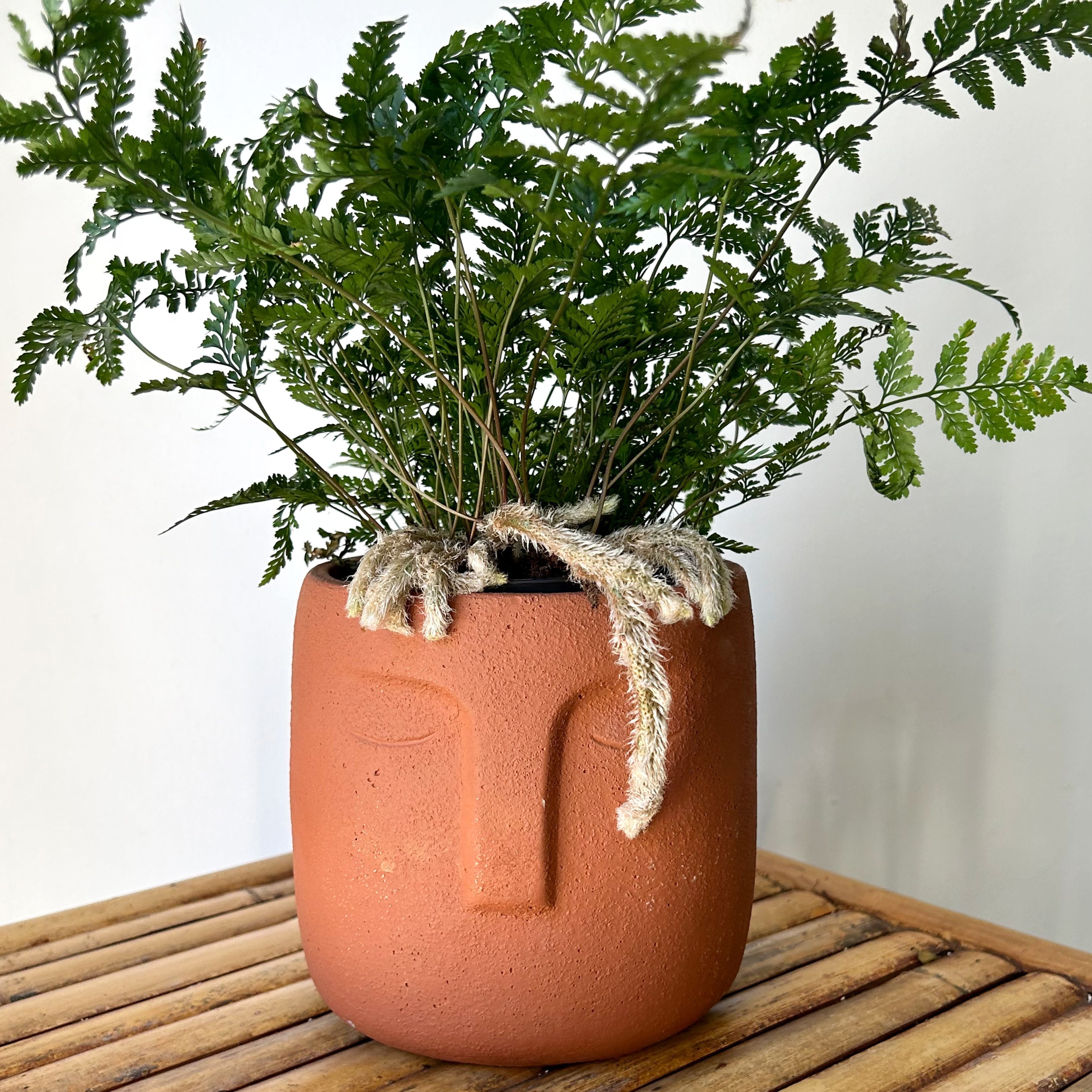 LEO Concrete Face Planter TERRA COTTA ORANGE 5"X5.25"