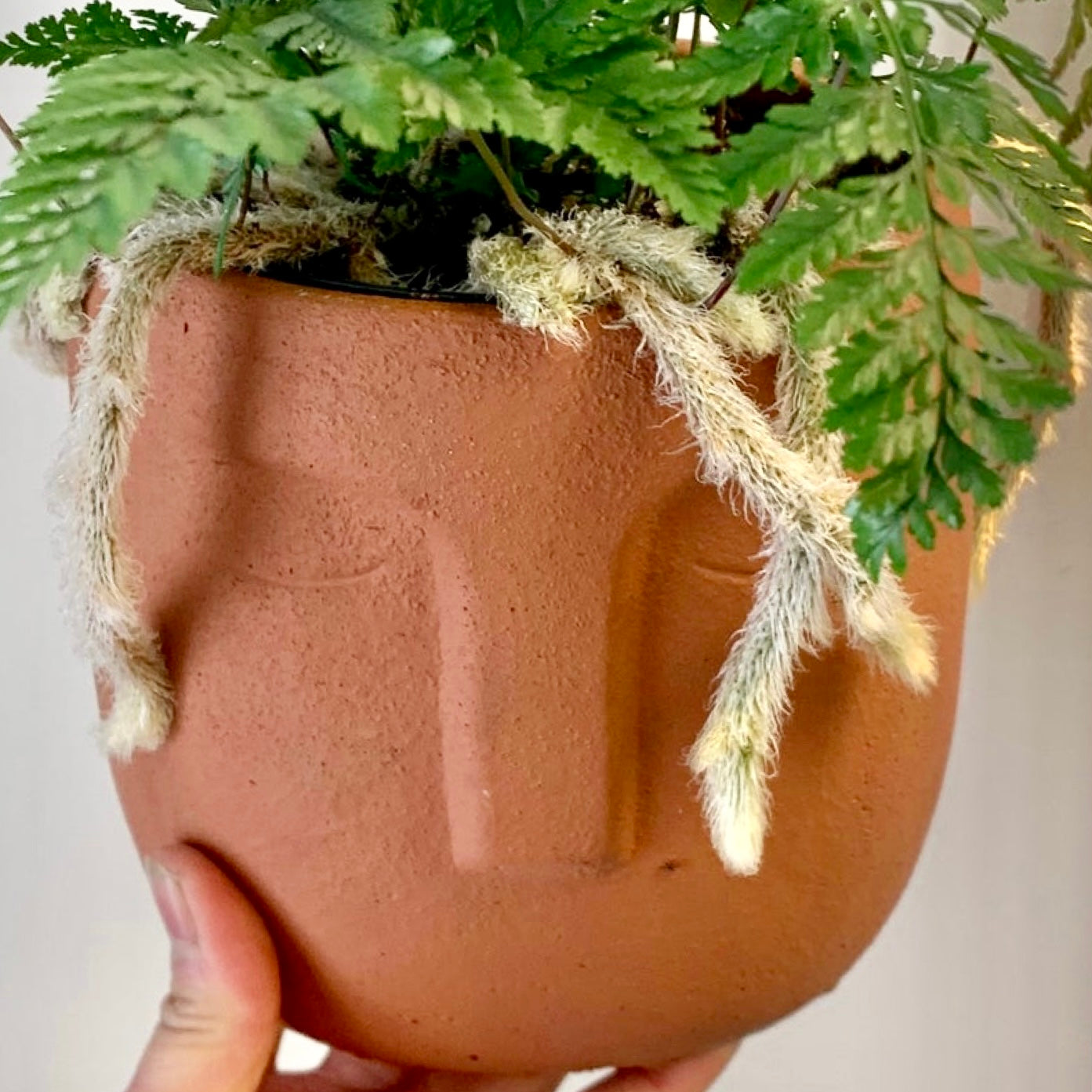LEO Concrete Face Planter TERRA COTTA ORANGE 5"X5.25"