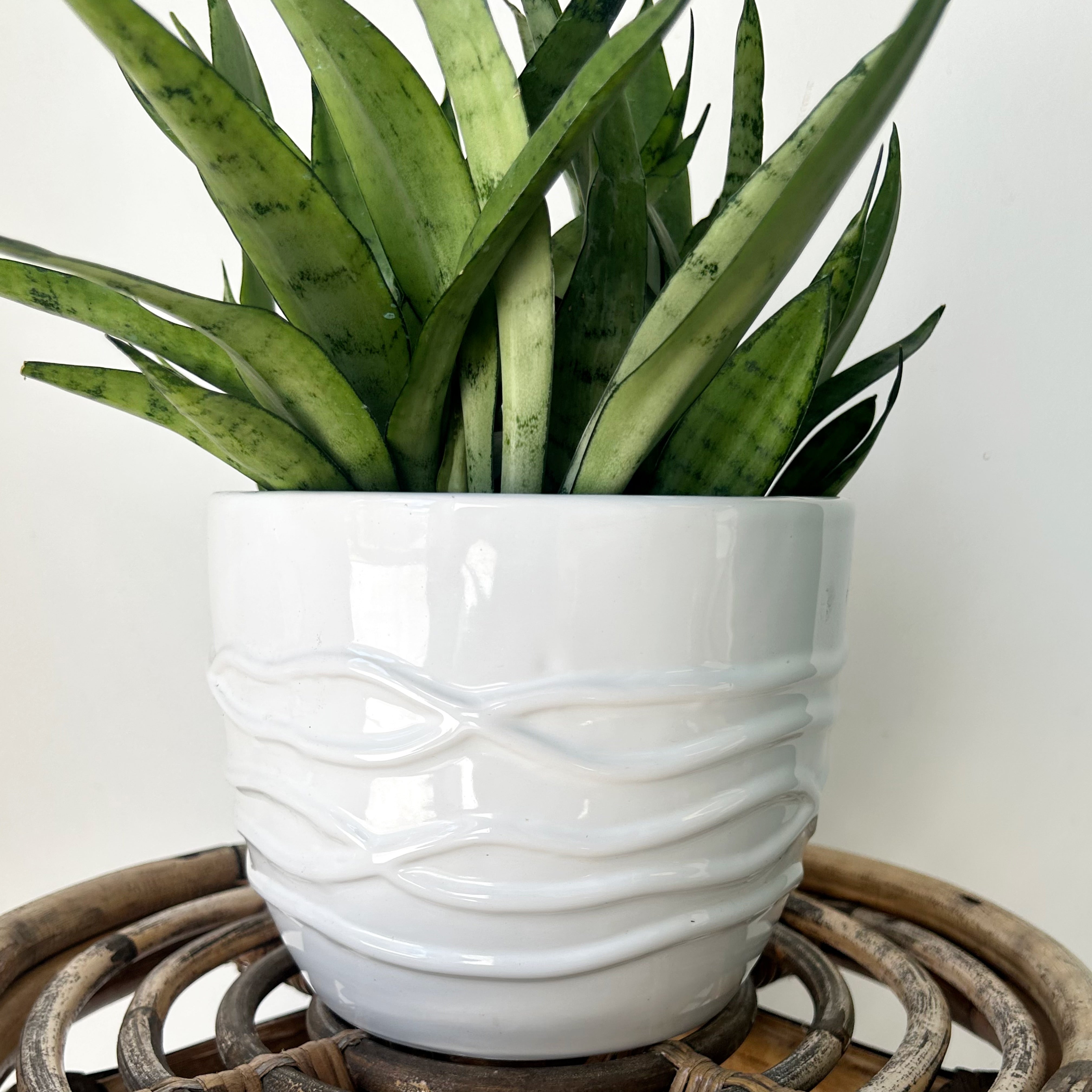 ROSLYN Cover Pot (6.5”x5.5”) Glossy WHITE