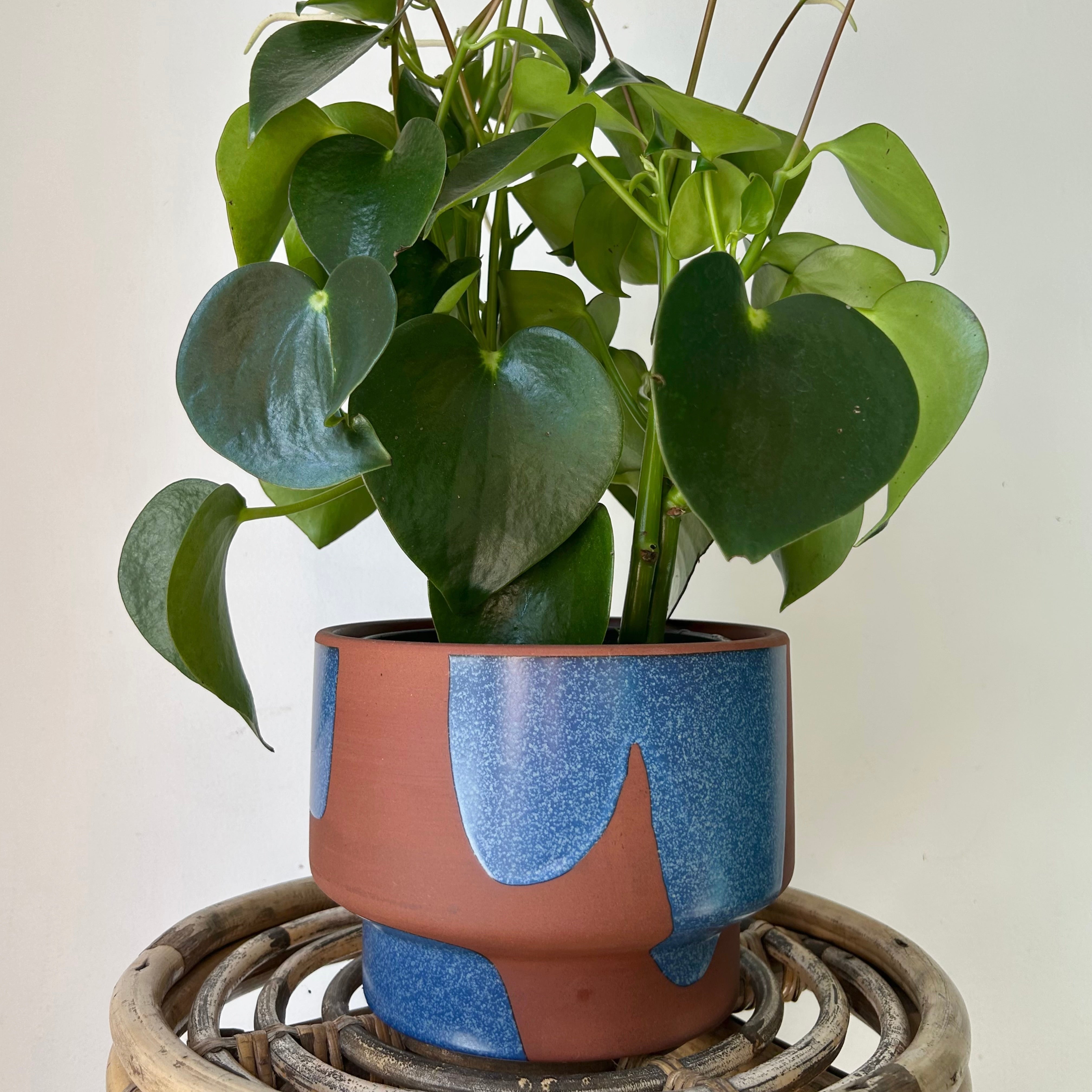 SHANTI Shallow Decorative Pot (7”x5”)