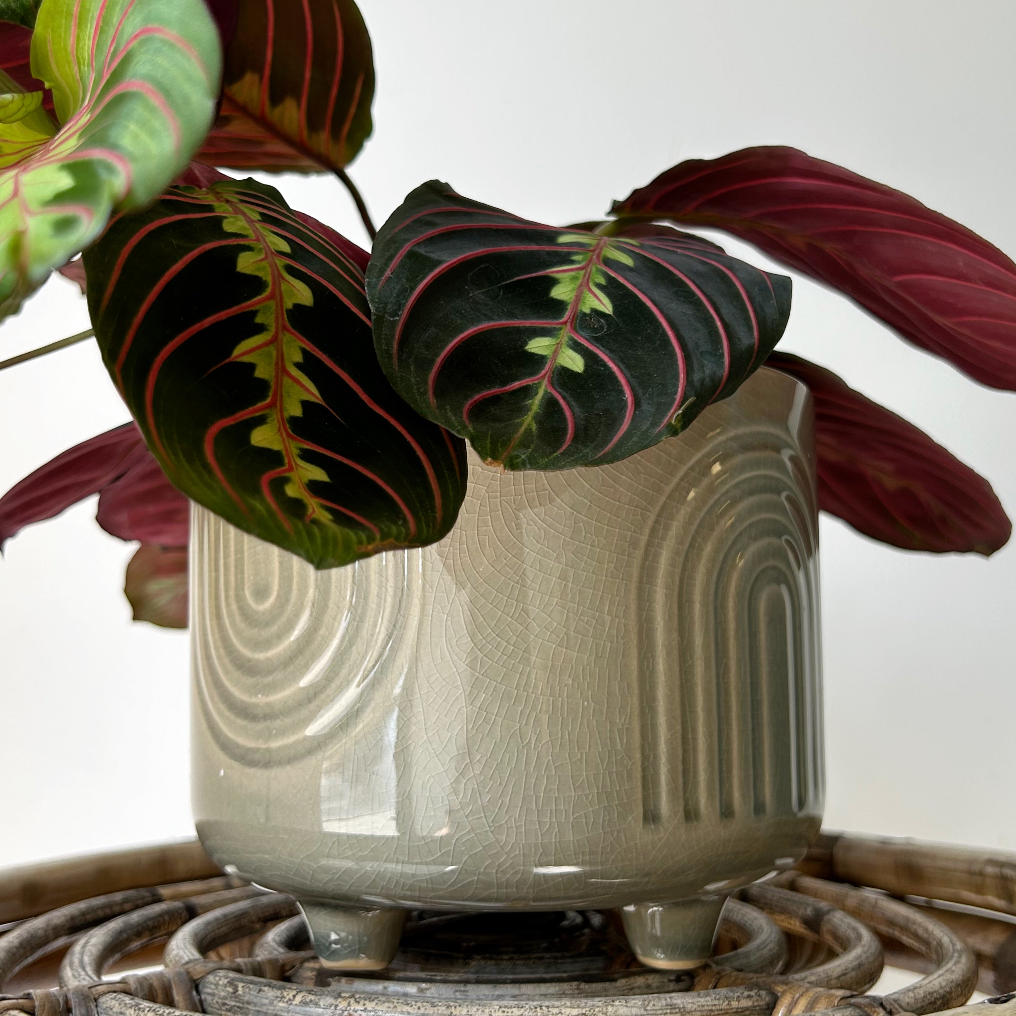 TEMPLE Decorative footed pot Olive Green (6”x4.25”)