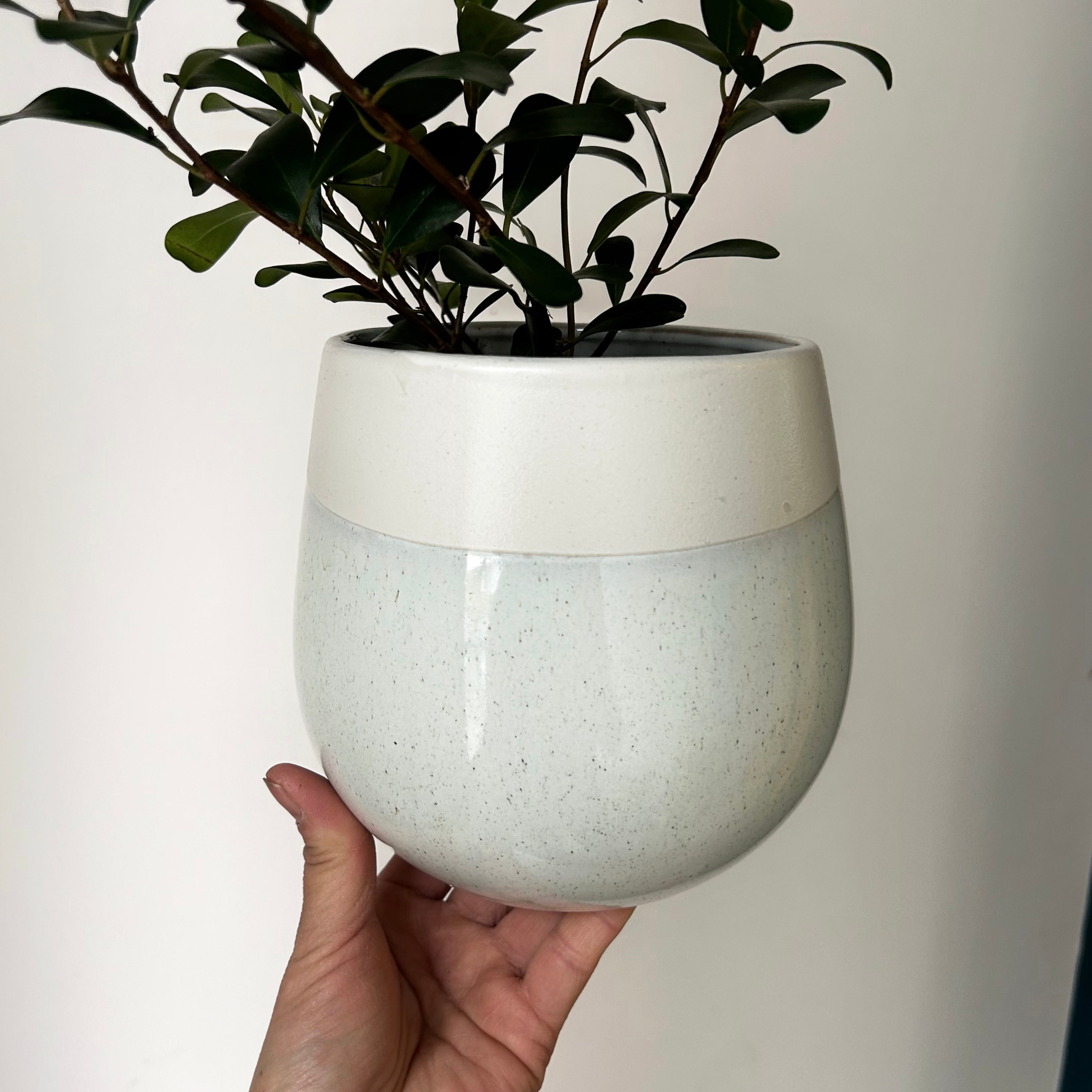 CHARIS Asymmetrical Decorative Pot (4.75”x5.5”)