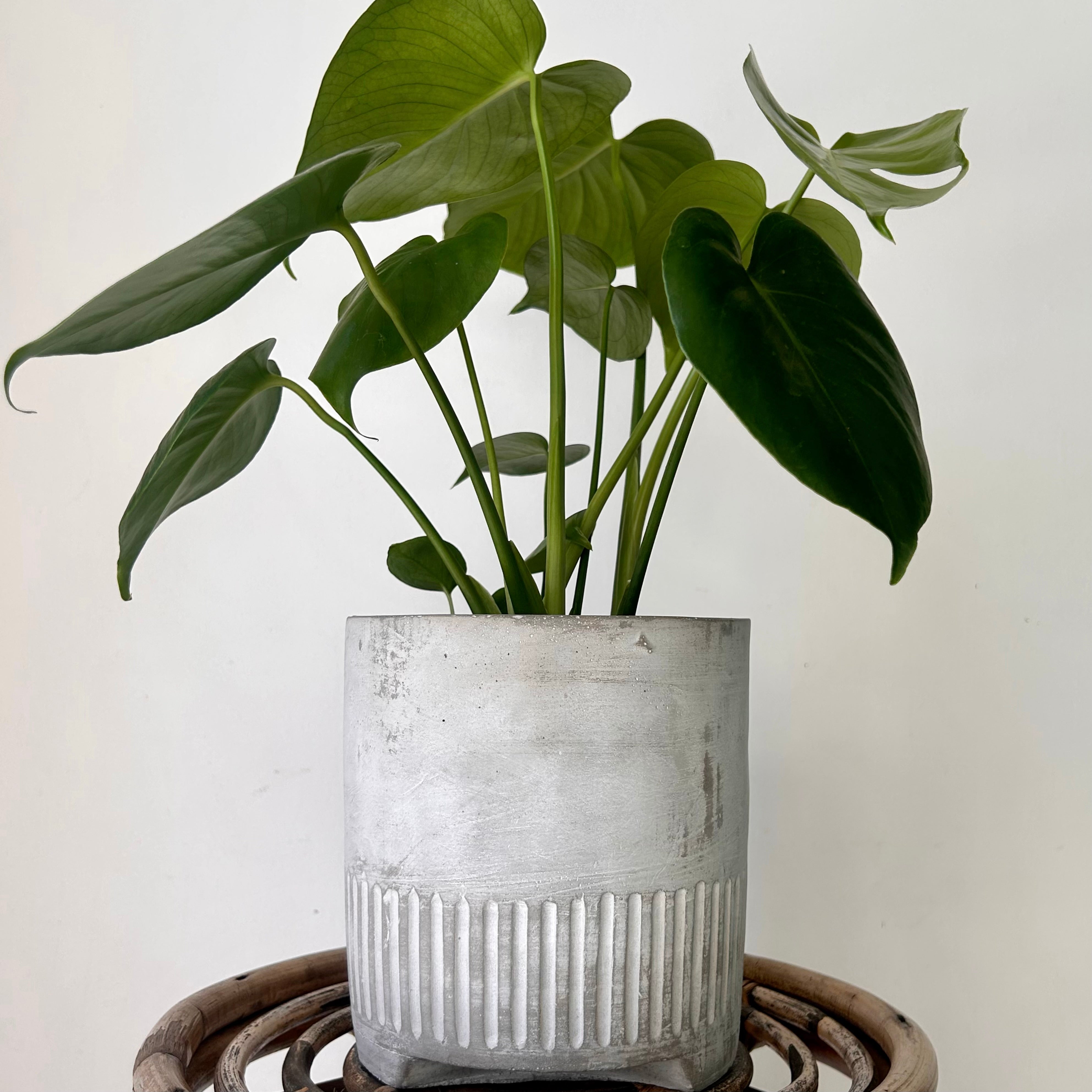 BOWIE Footed Decorative Planter Concrete LIGHT GREY (6”X6”)