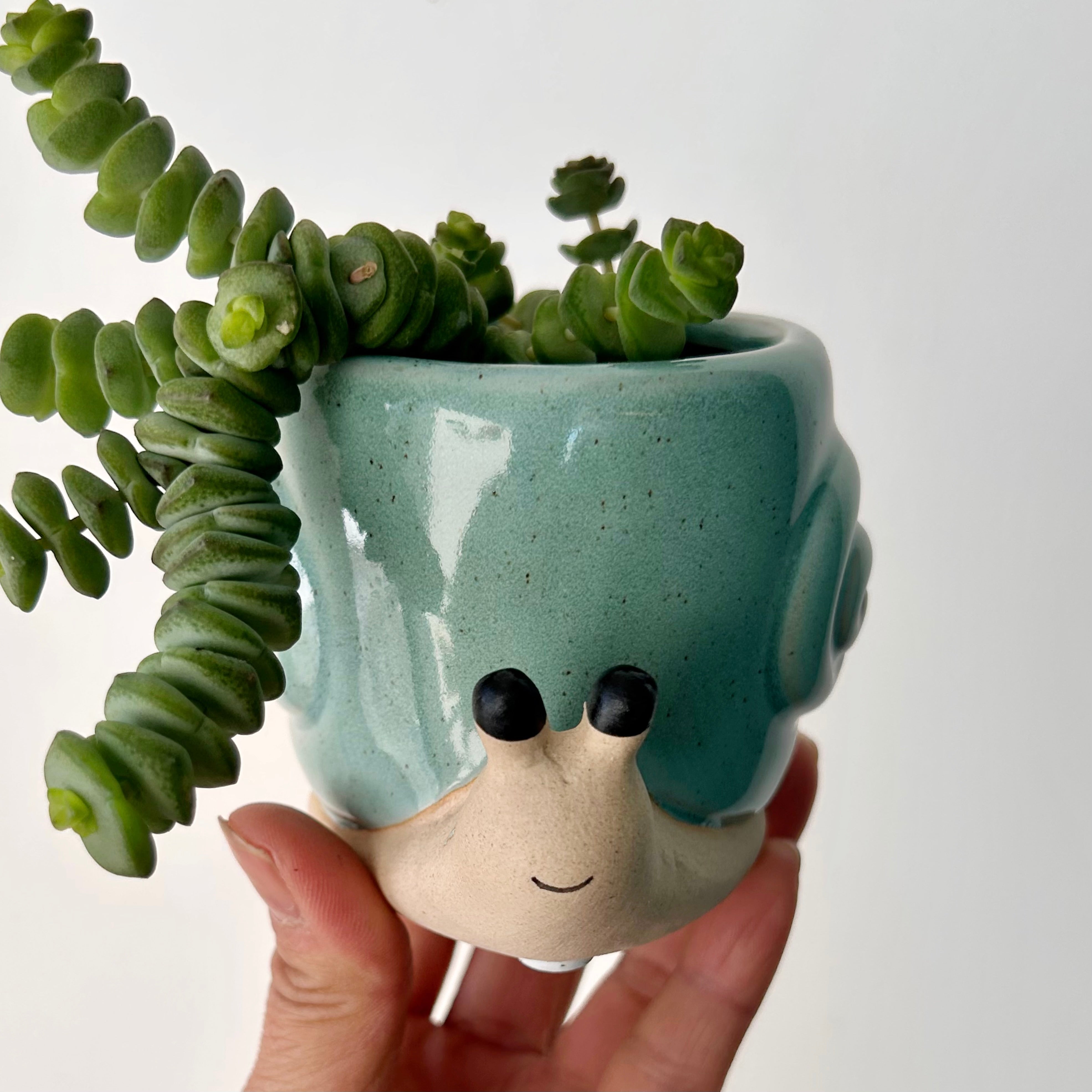 Snail Decorative Pot (2.25"X2.5")