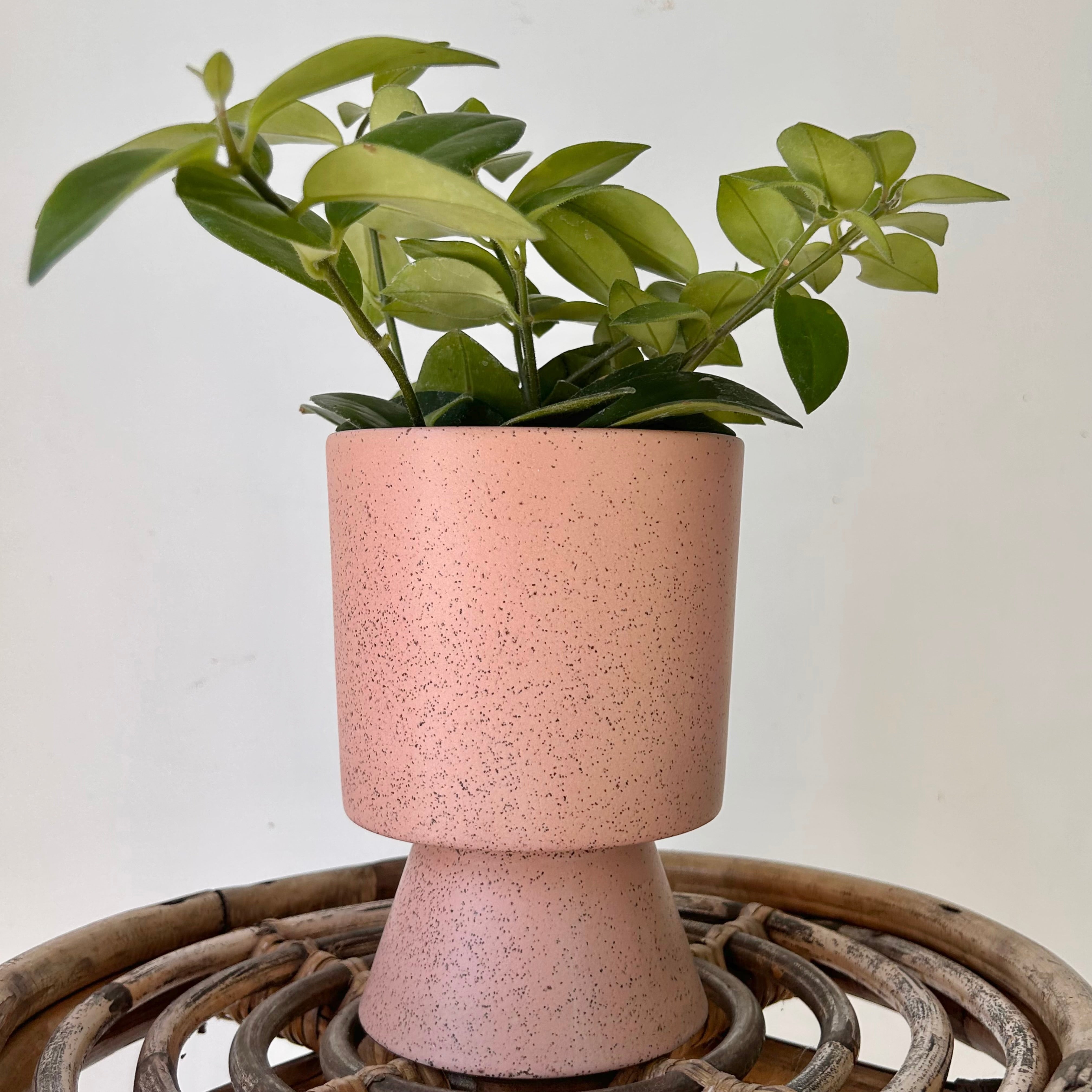 TARTE Footed Decorative Pot (4.25”x6”)