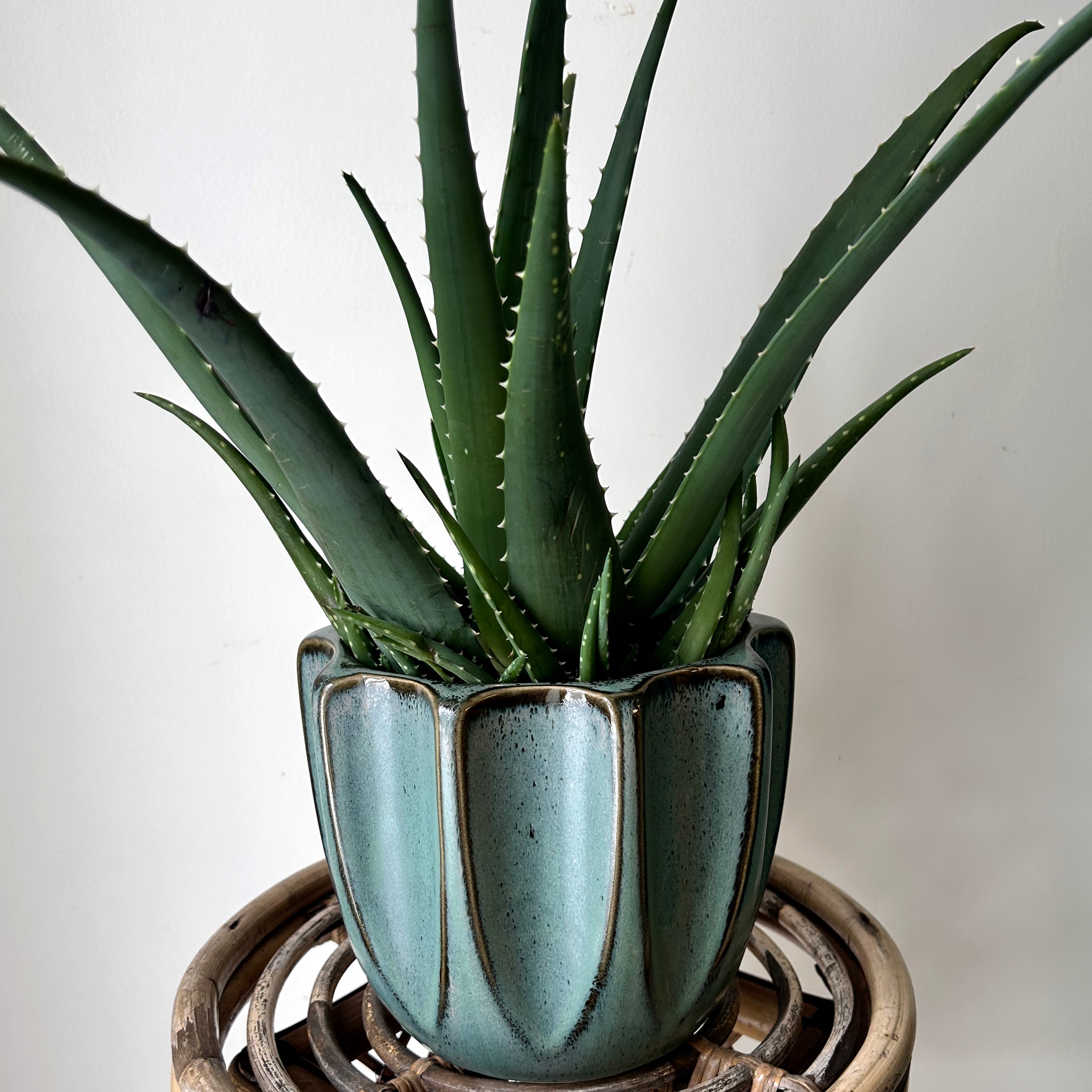 BEAUMONT decorative pot (6.5”x6.5”)