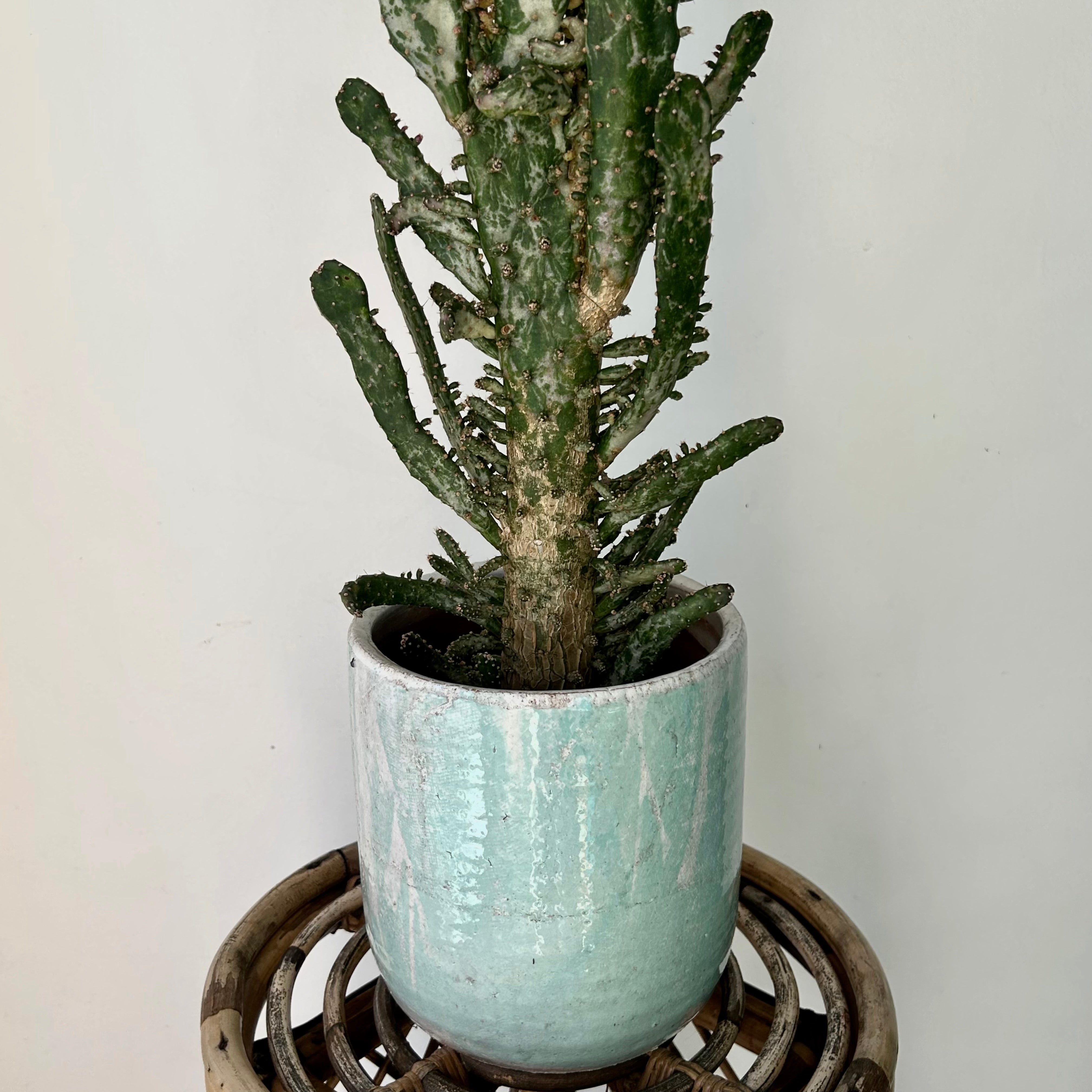 LUCA Decorative Ceramic Pot TEAL (6”x7”)