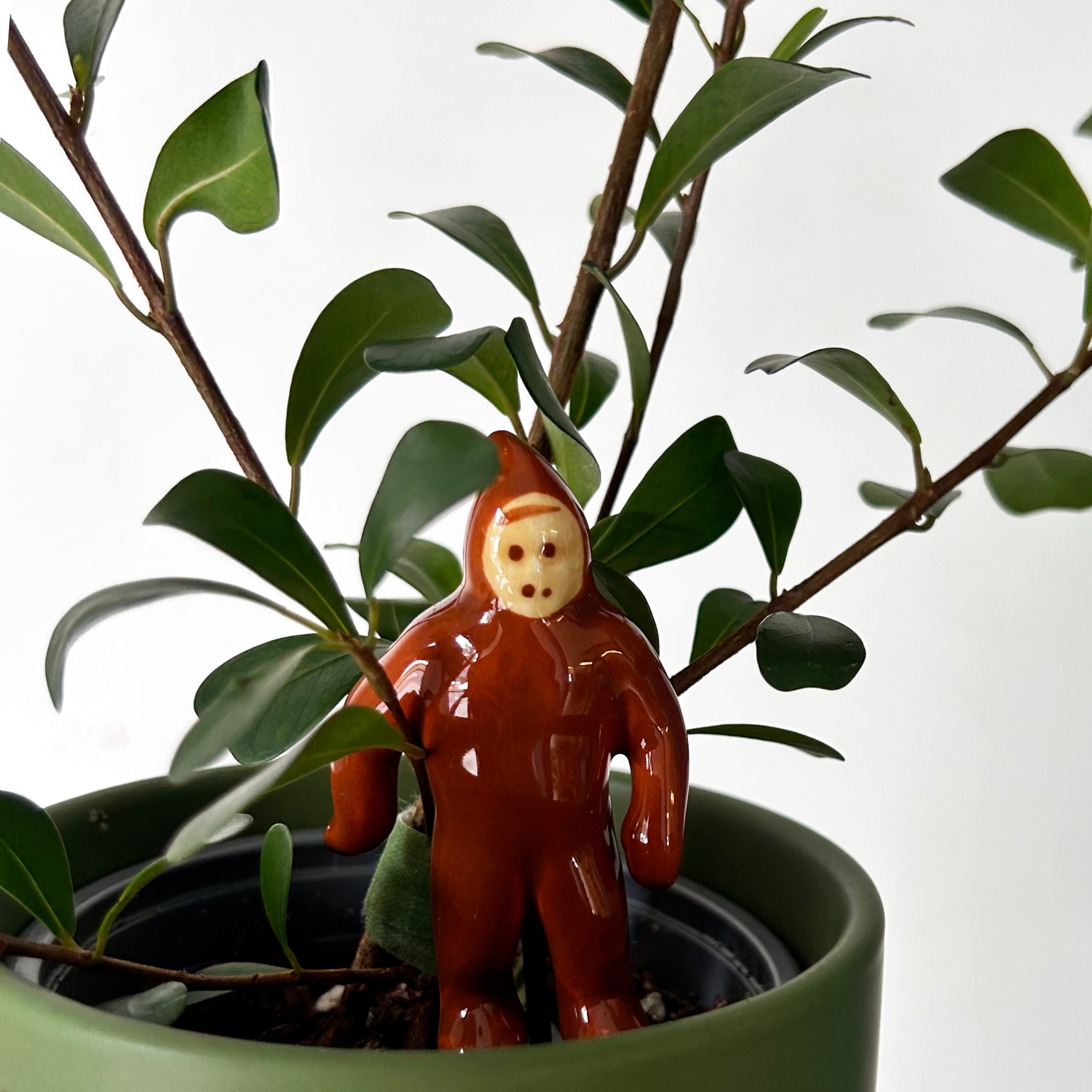 Ceramic Decorative Accents