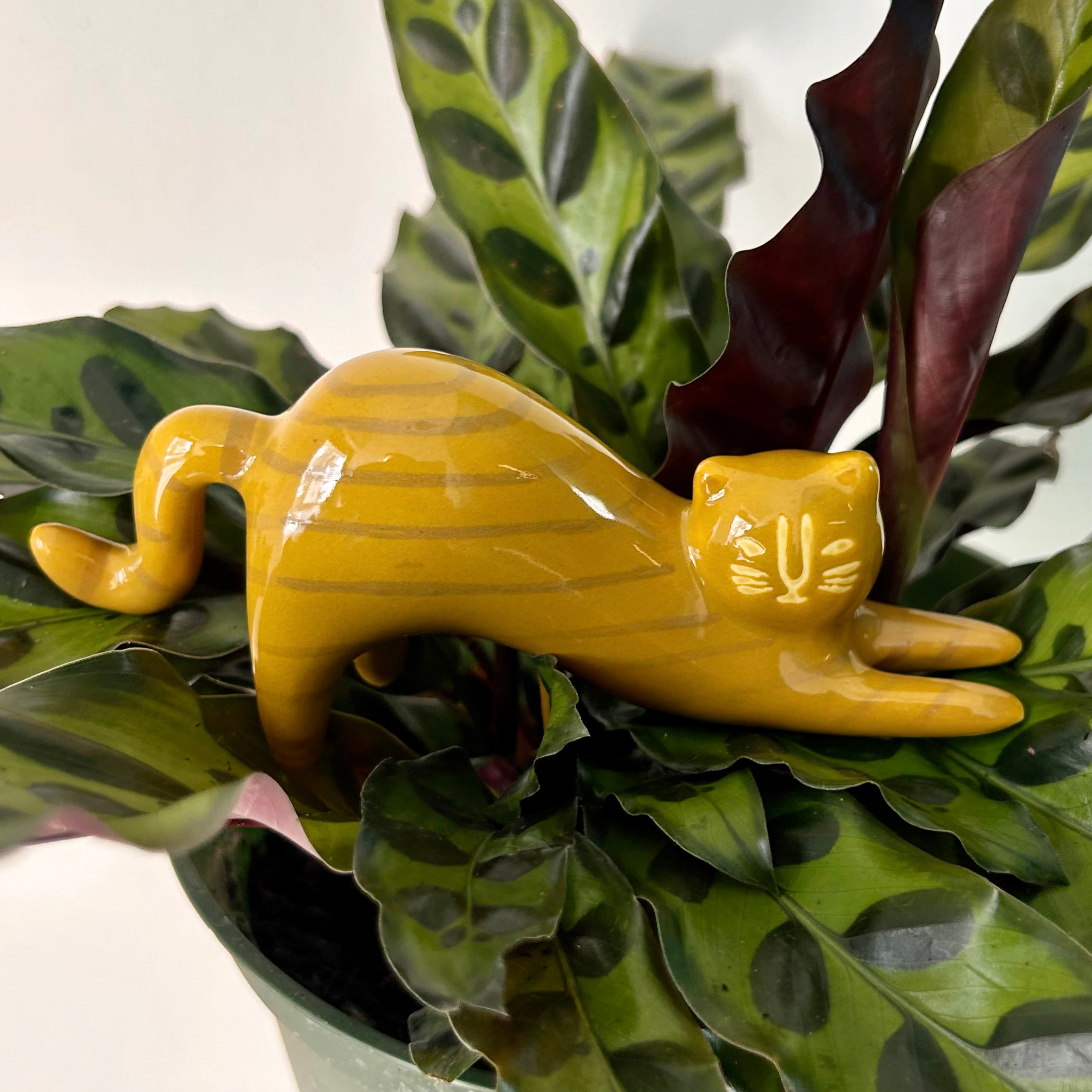 CURIOUS CATS-Ceramic Decorative Accents