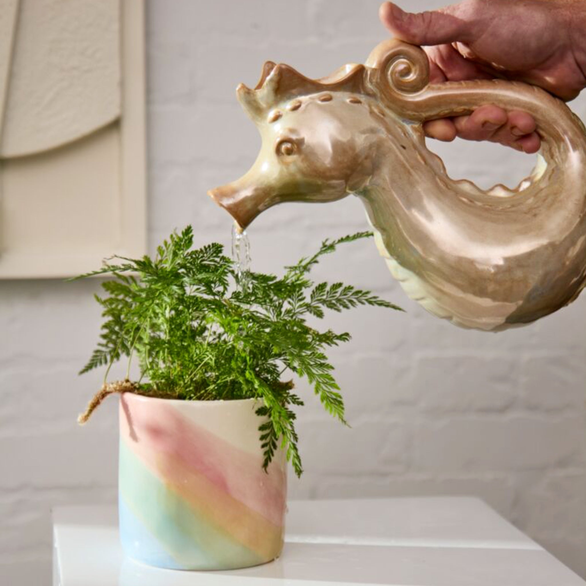 SEAHORSE Ceramic Watering Jug  (6.75"x 5"x 10.2")