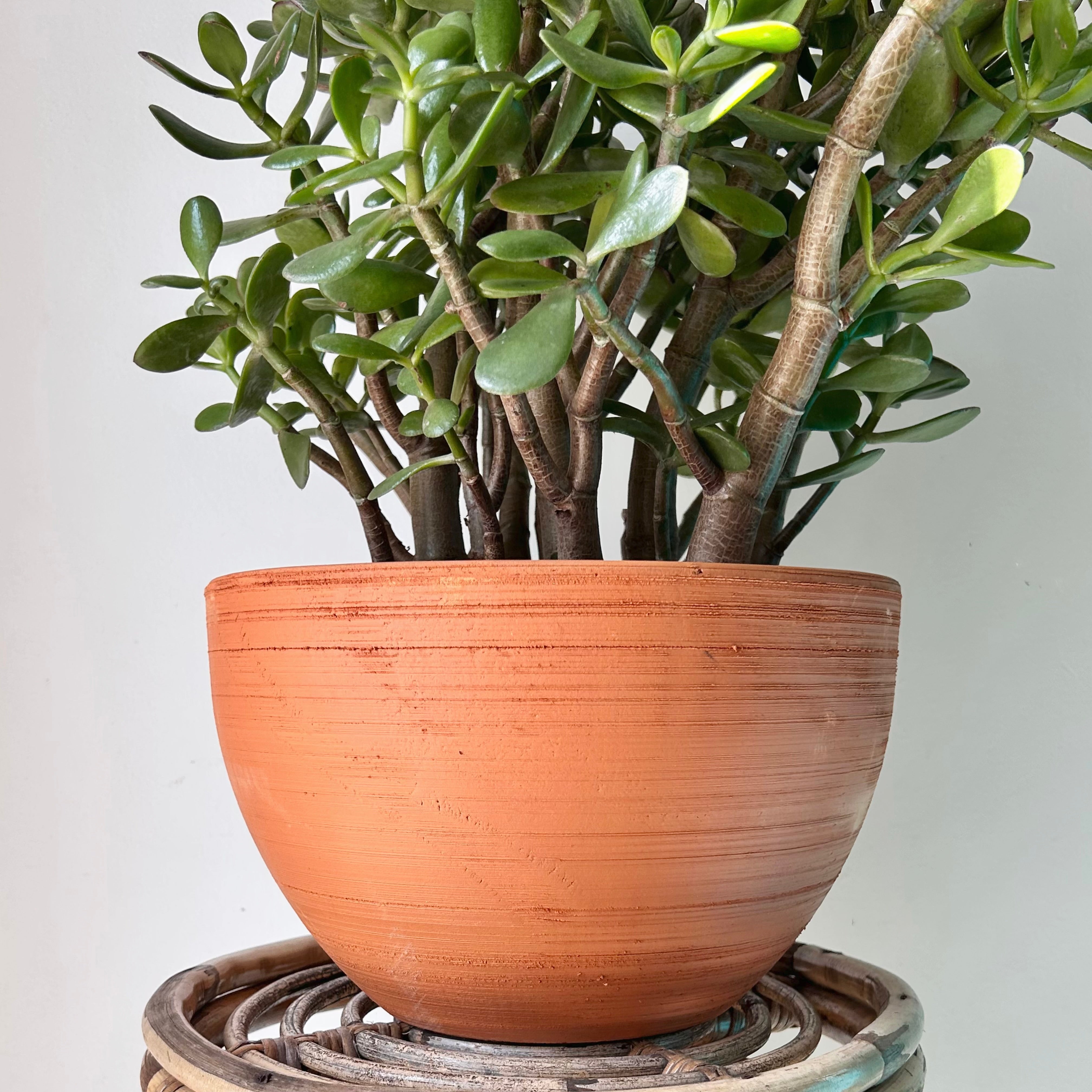TERRACOTTA Clay Planter (10”x6.5”)