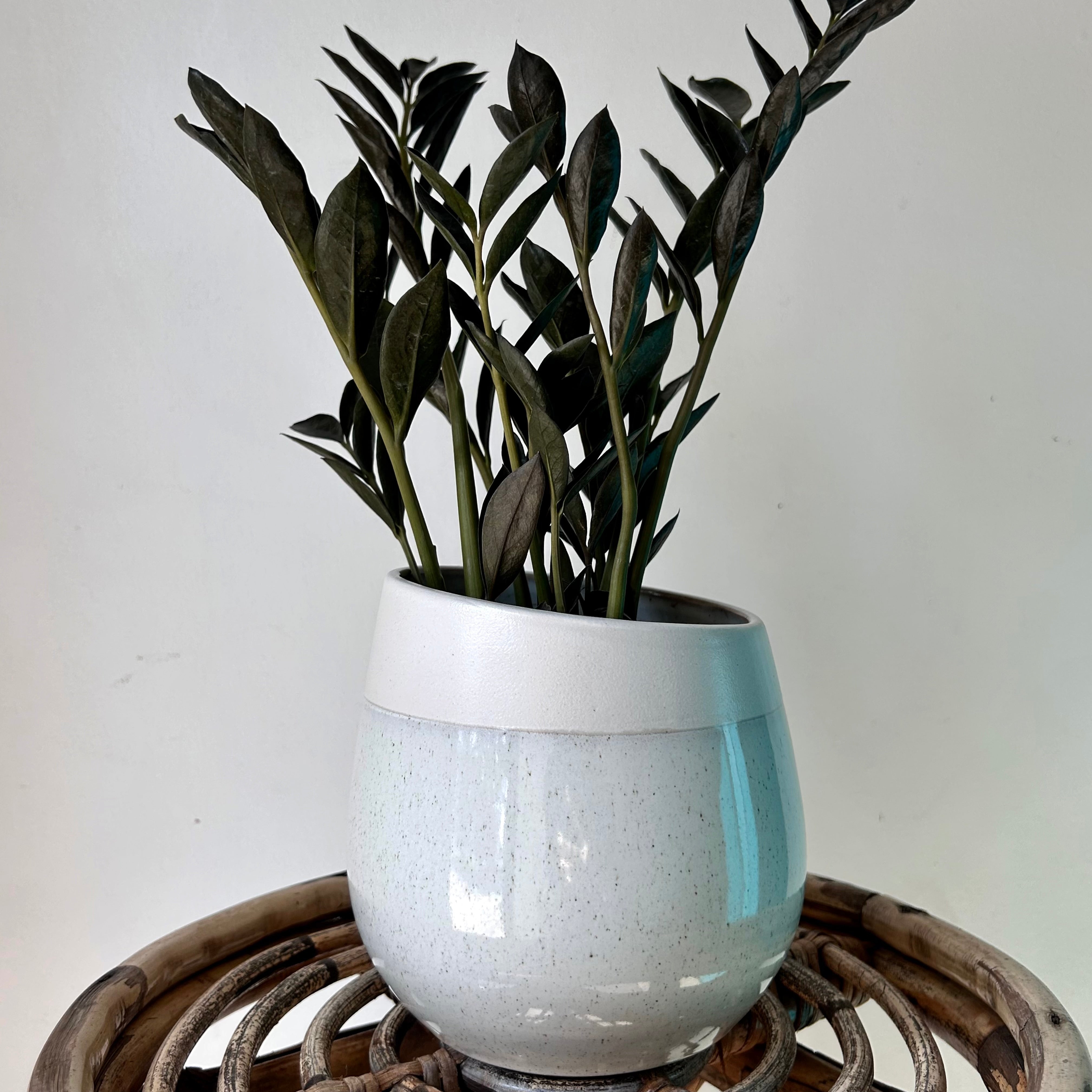 CHARIS Asymmetrical Decorative Pot (4.75”x5.5”)