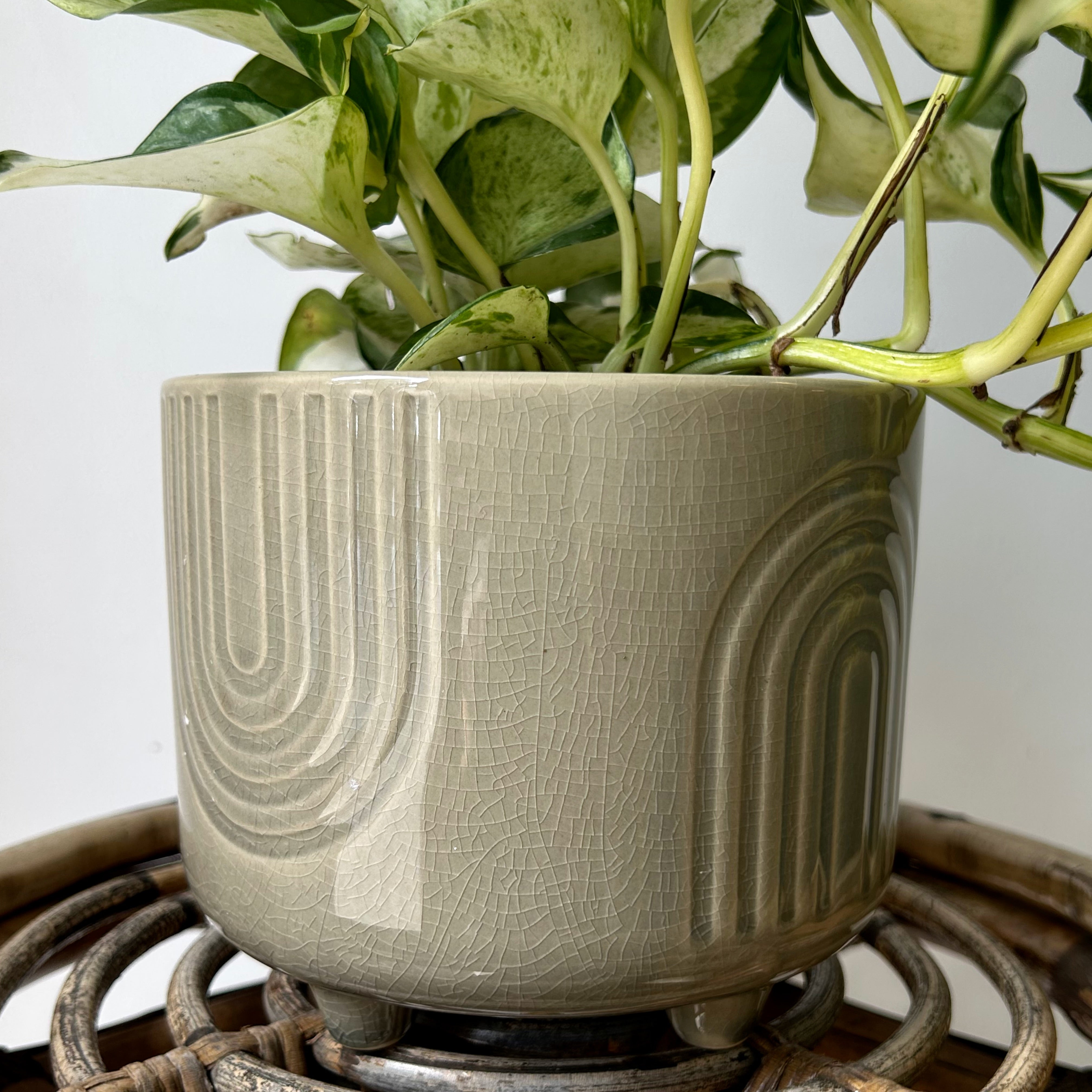TEMPLE Decorative footed pot Olive Green (6”x4.25”)