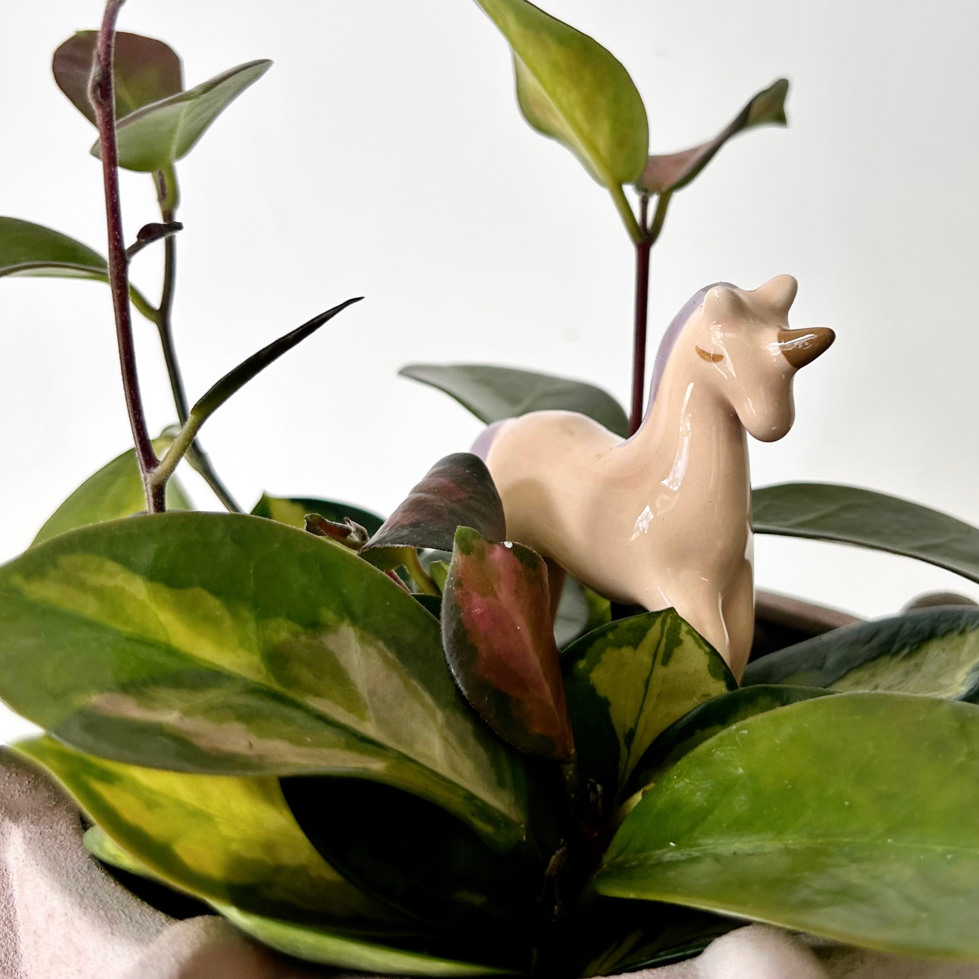 Ceramic Decorative Accents