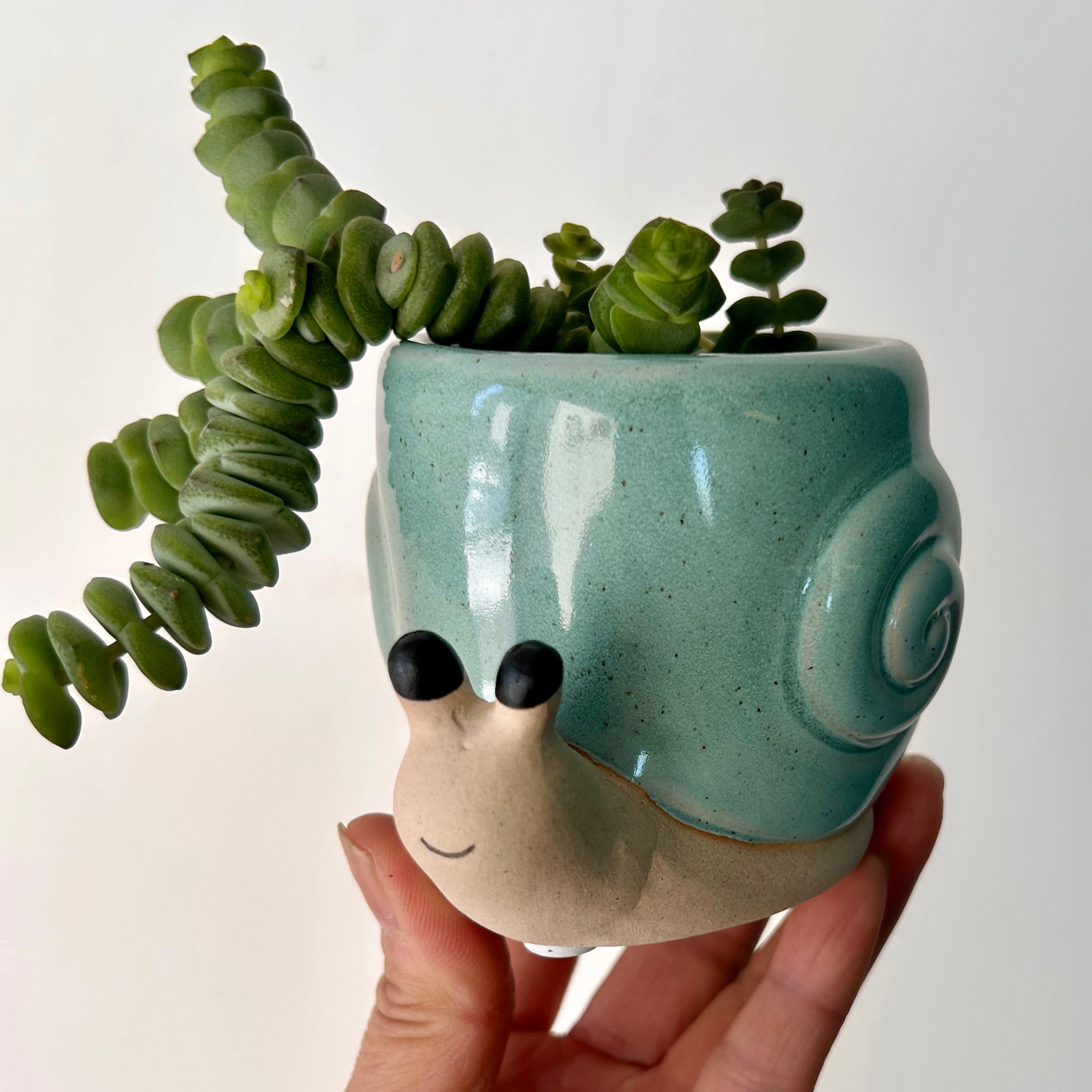 Snail Decorative Pot (2.25"X2.5")