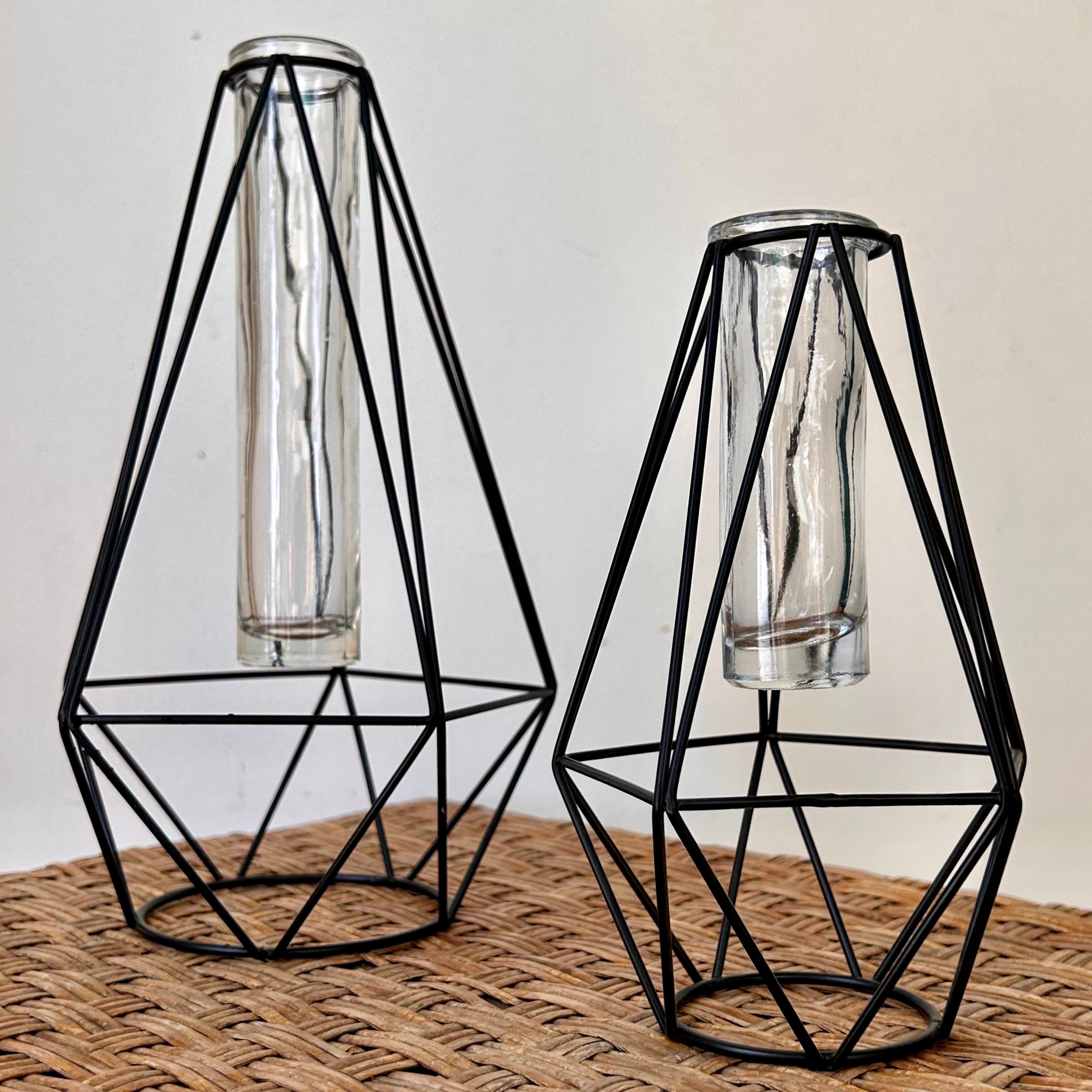 Prism Propagation Station (Single Vase) available in two sizes