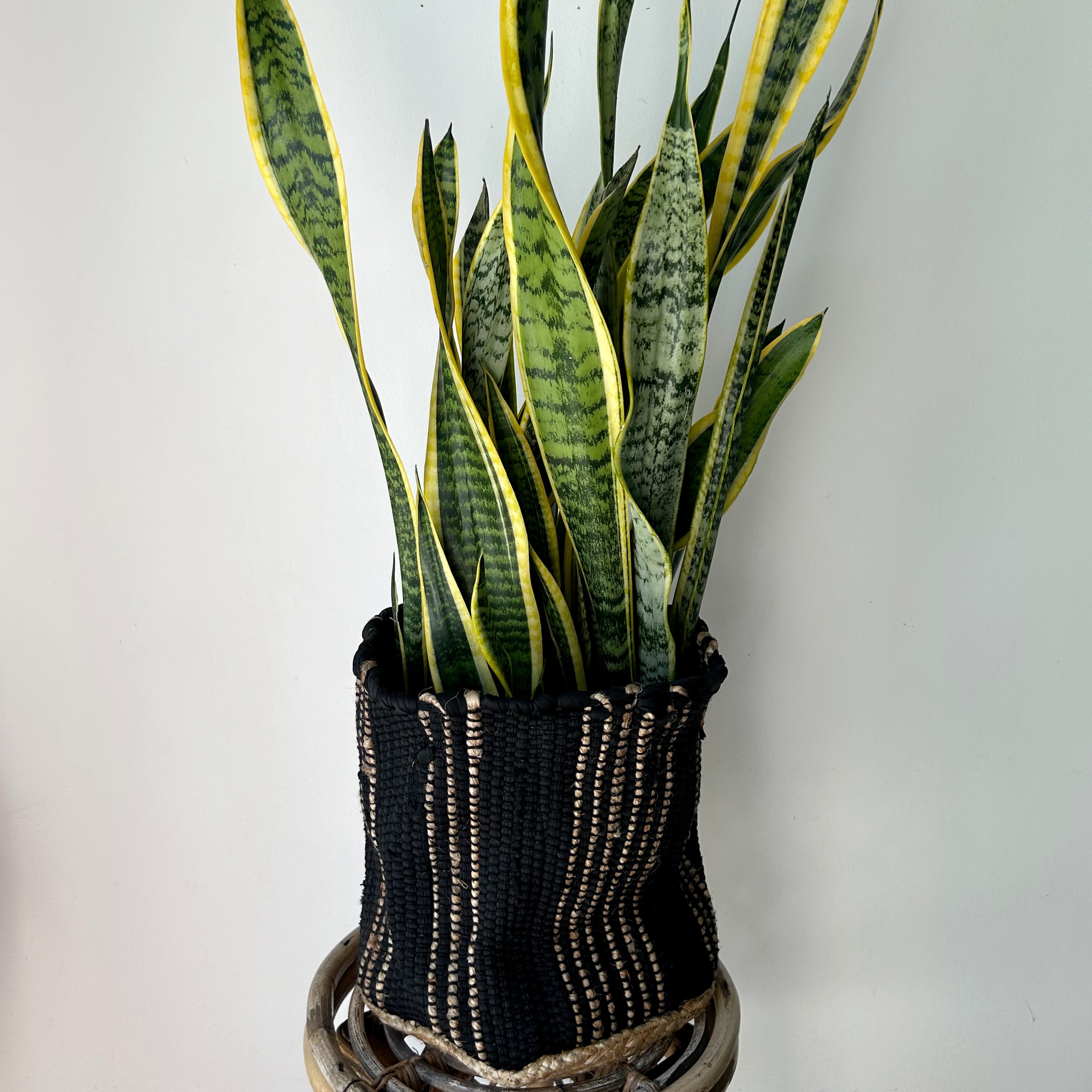NAYA Woven Decorative Plant Baskets