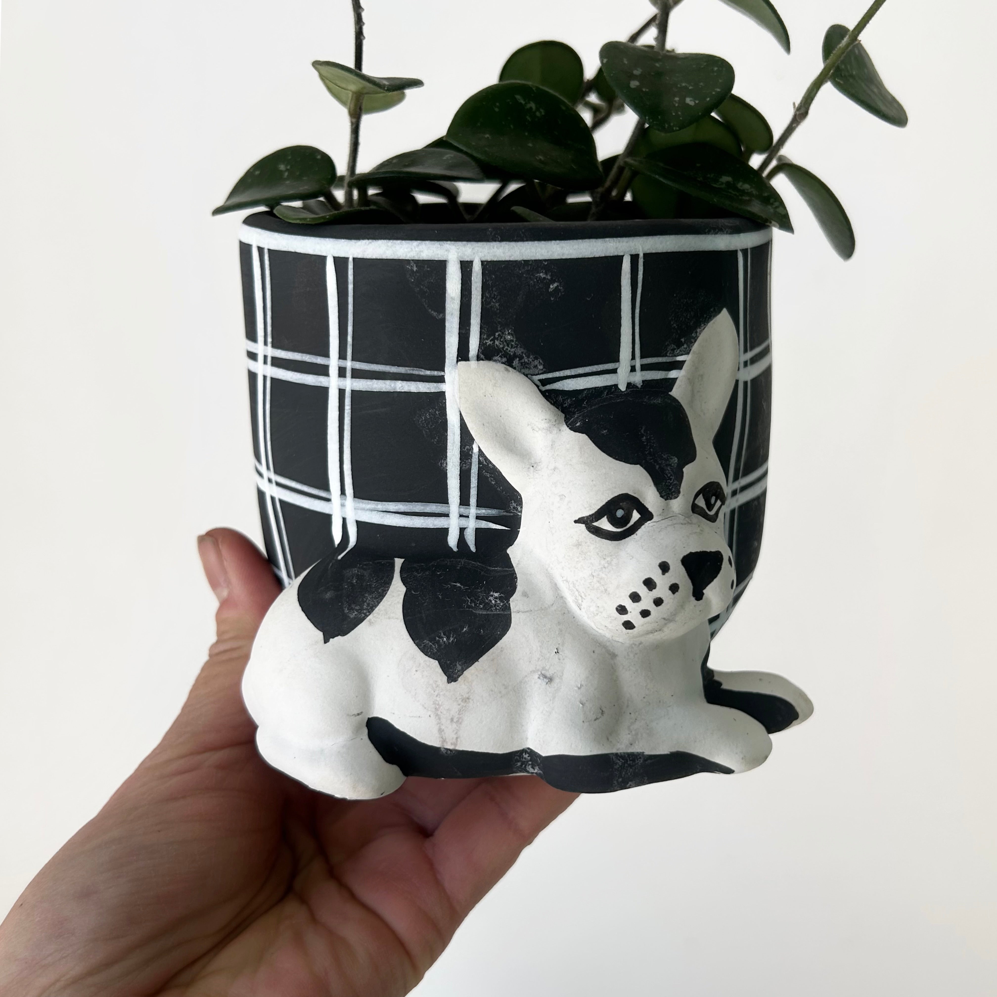 Pampered DOG Decorative Planter (4”x3.75”)