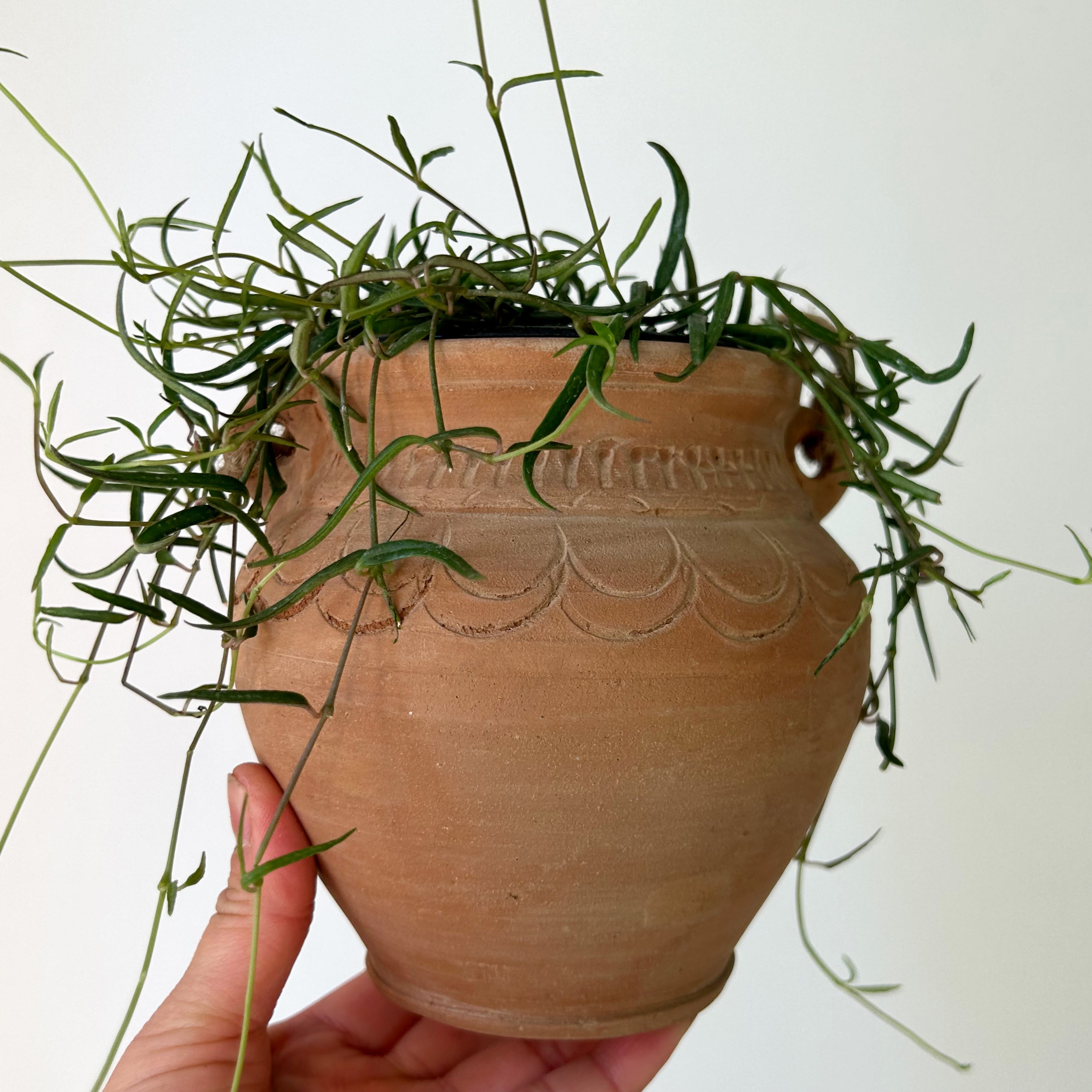 ARIZONA Decorative Clay Pot (3.5”x5.5”)