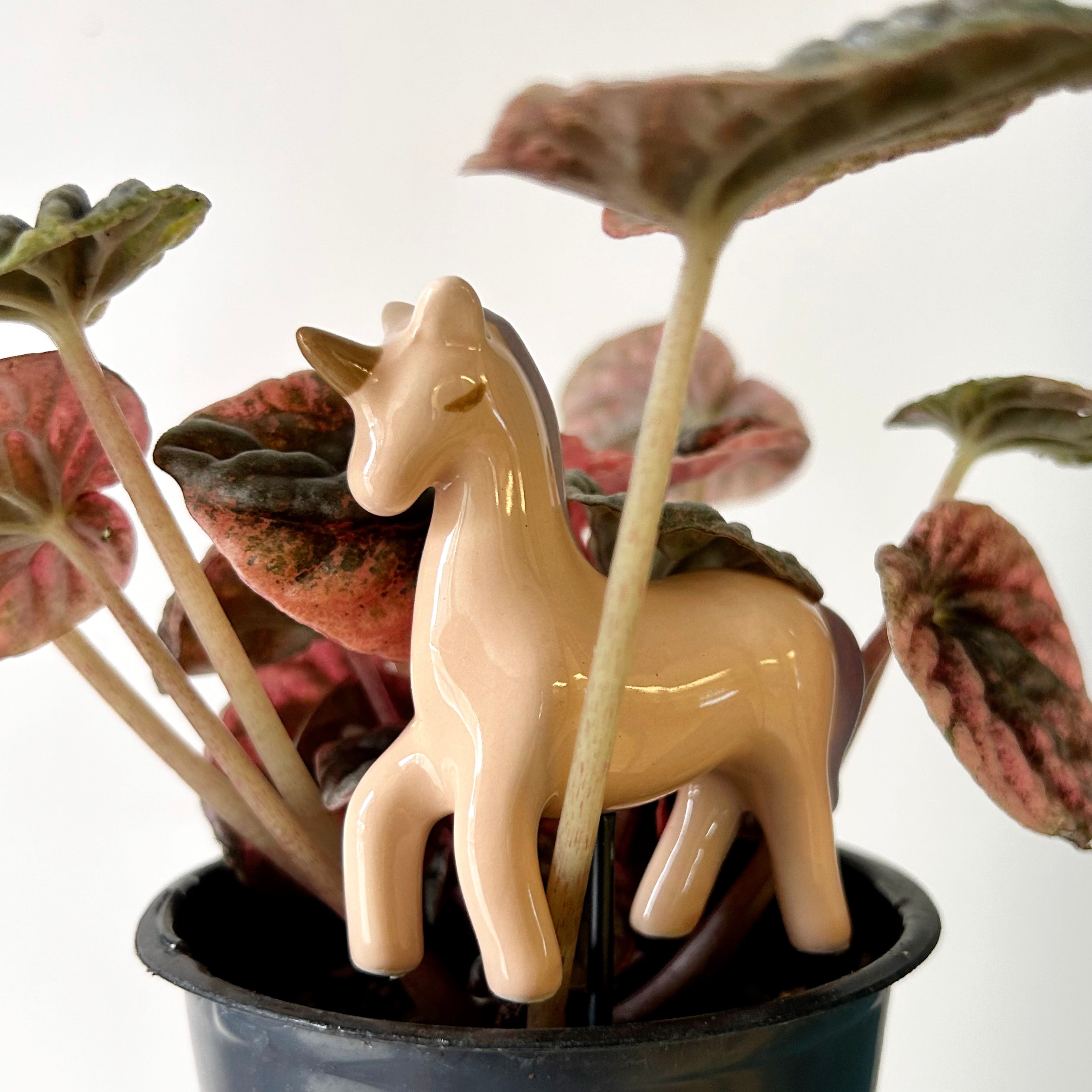 Ceramic Decorative Accents