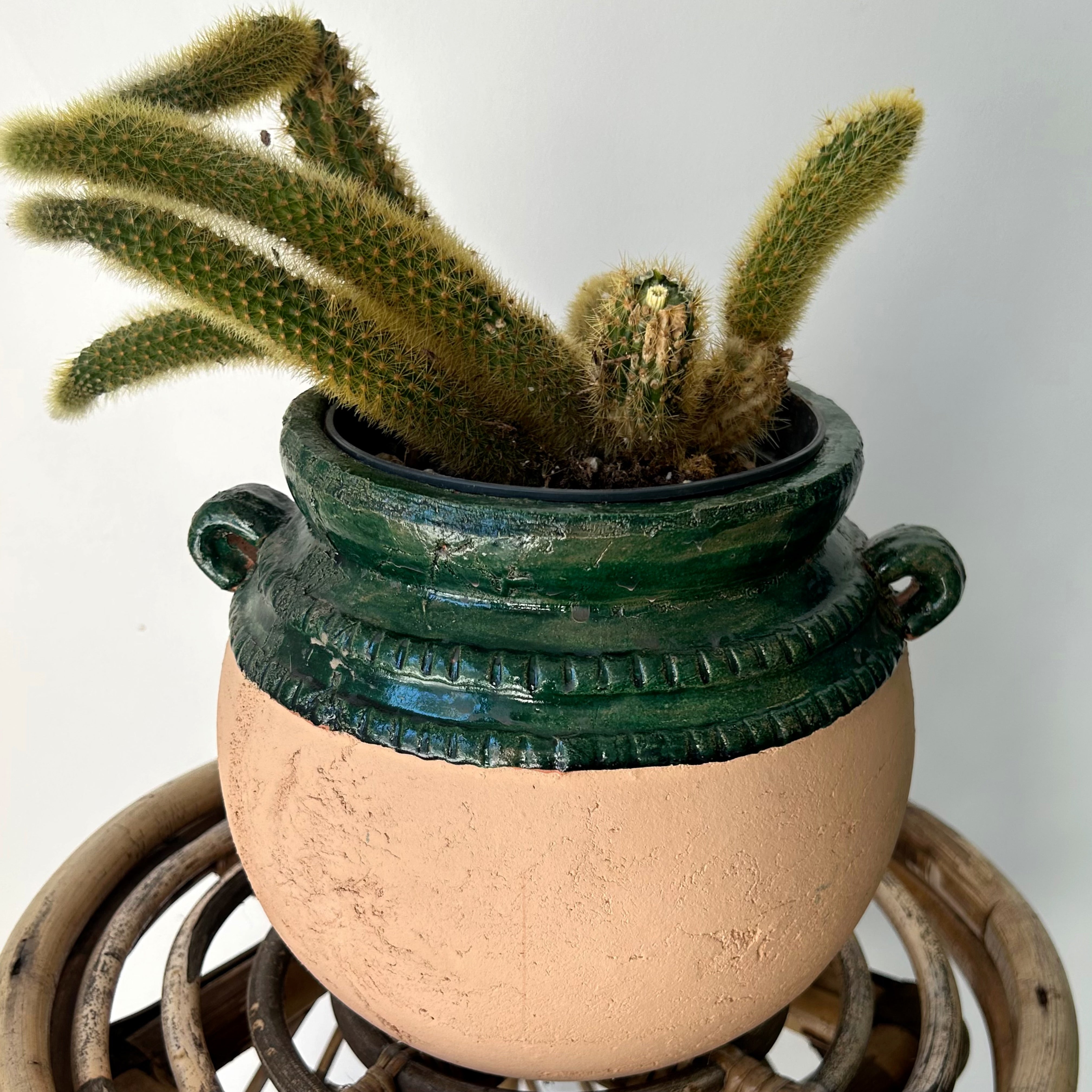 IRENE Bulbous Decorative Planter (5”x7”)