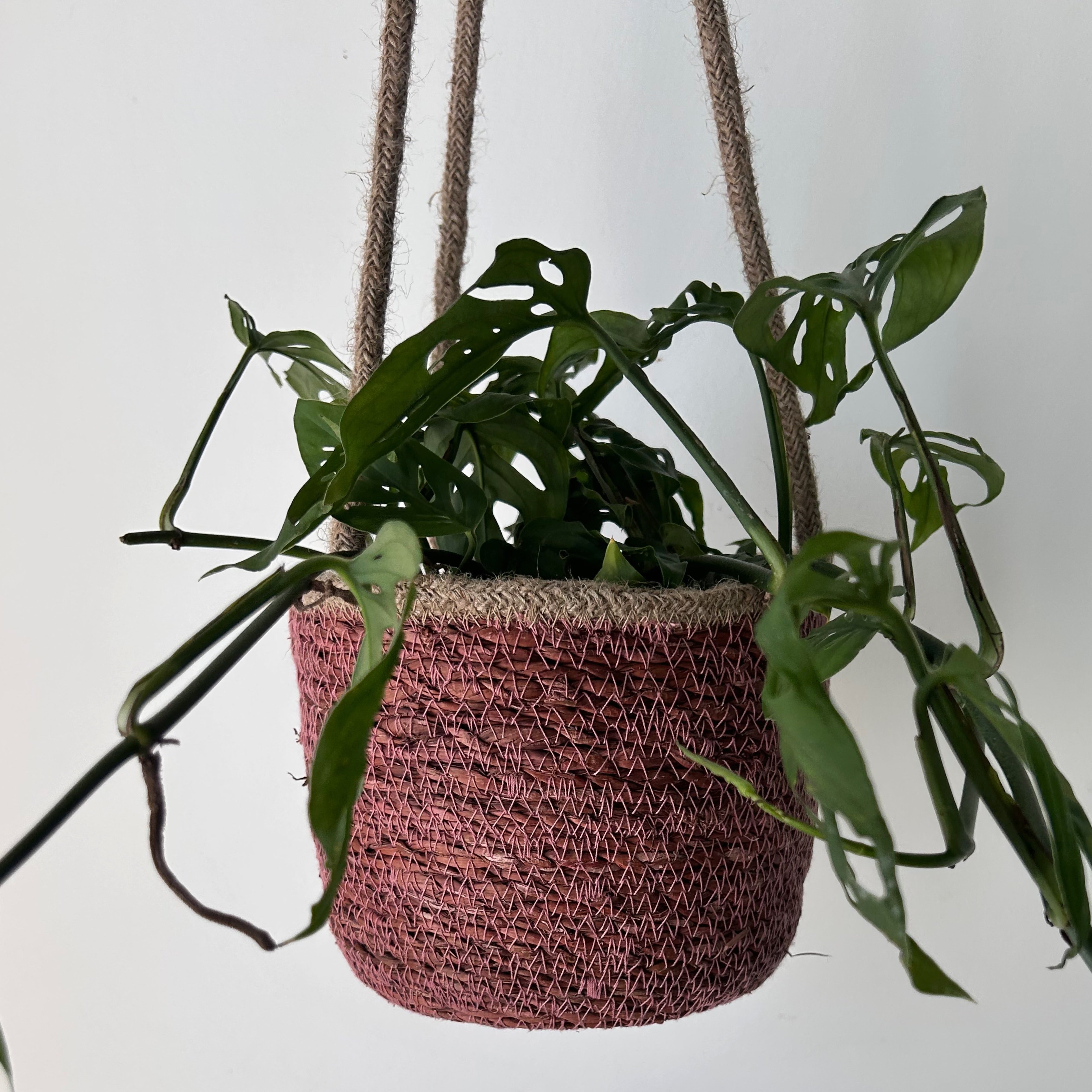 MANU woven plant basket (6.5”x5.5”)