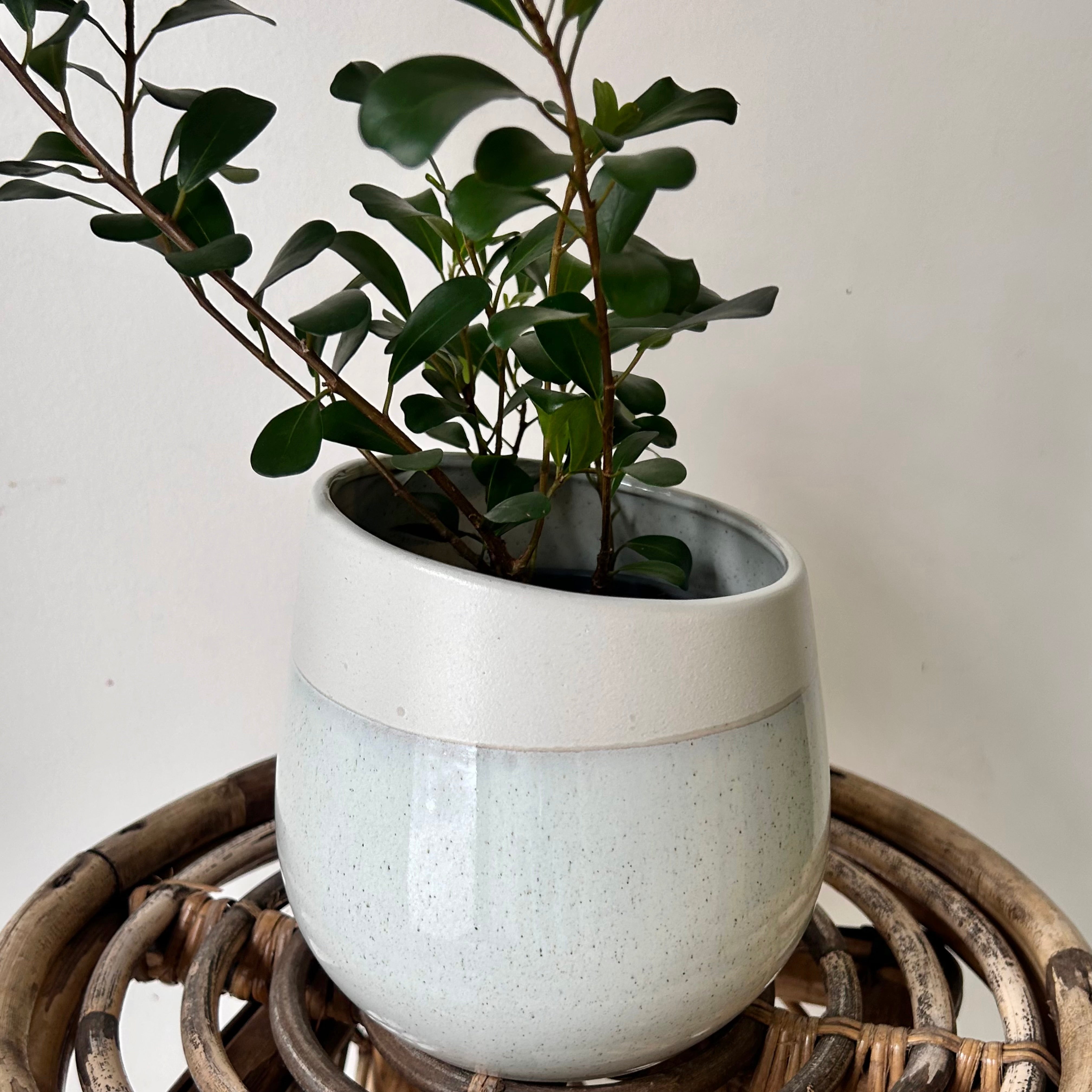 CHARIS Asymmetrical Decorative Pot (4.75”x5.5”)