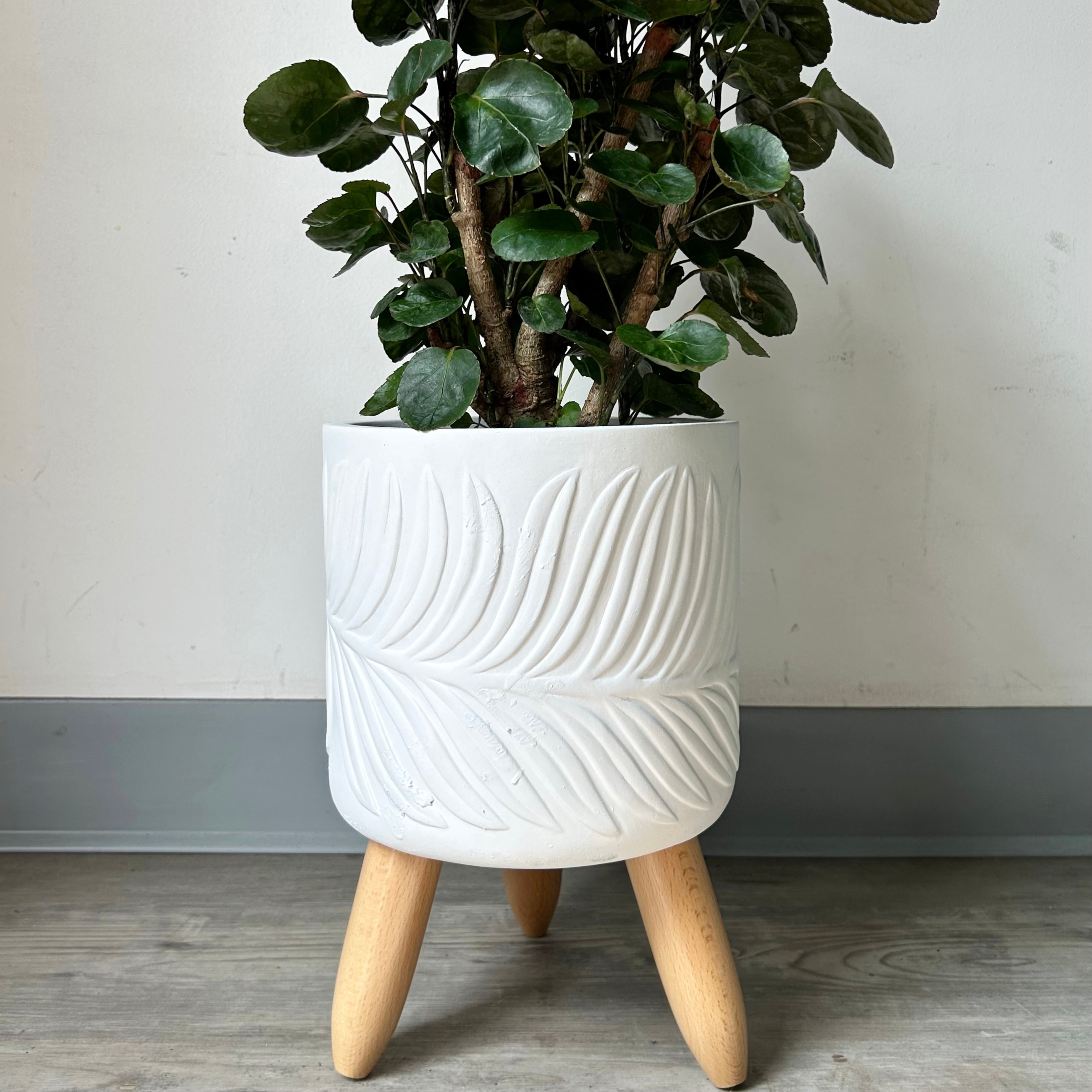 BEATRICE Plant Stand tripod (available in multiple colours)