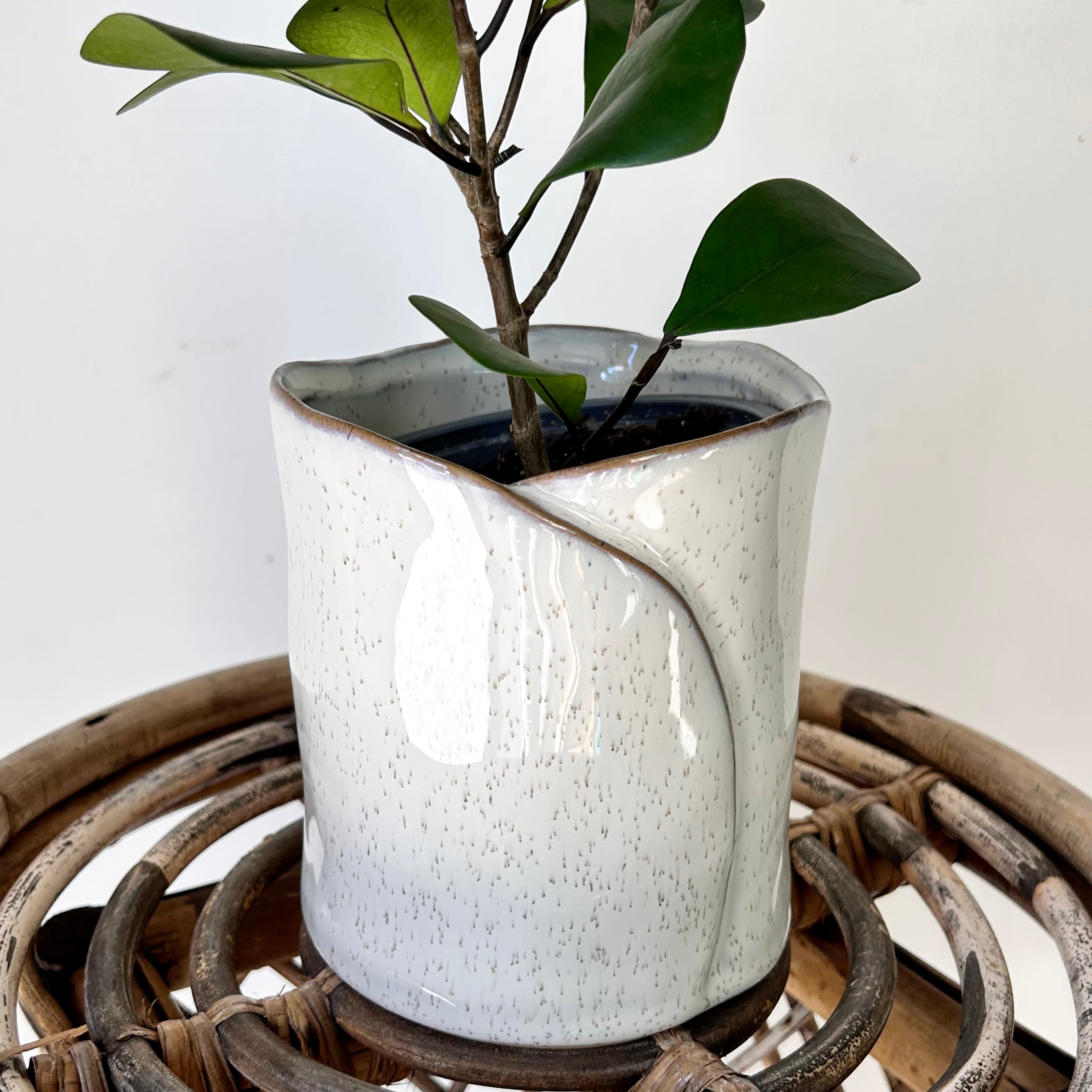 DIANE Decorative Pot (4.5"X5")