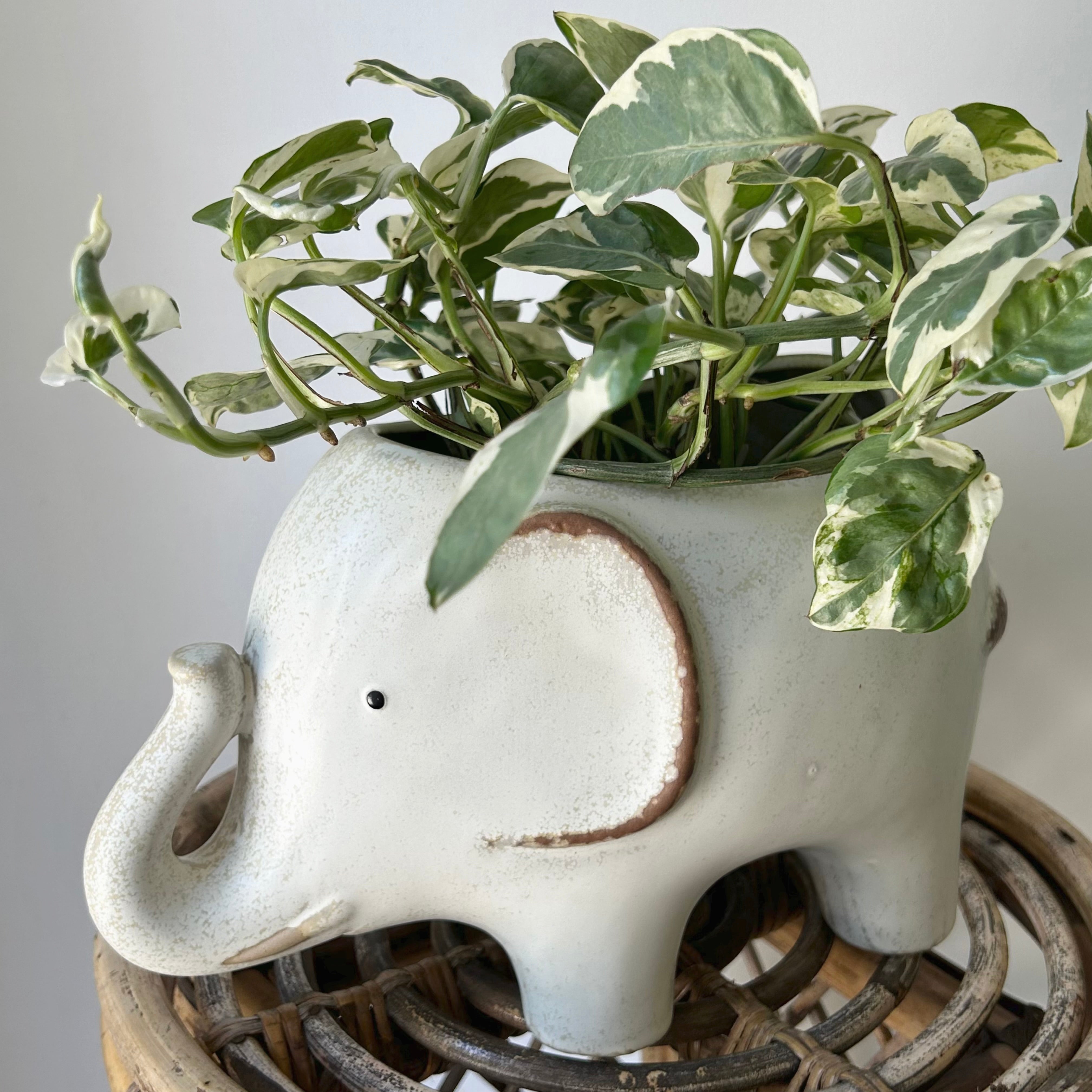 ELEPHANT Decorative Pot
