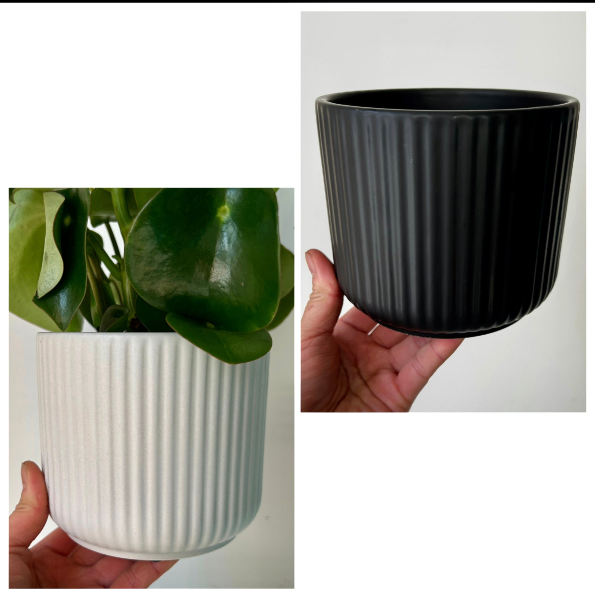 LUNA MATTE Vertical Stripe Decorative Pot 5”x4.75”
