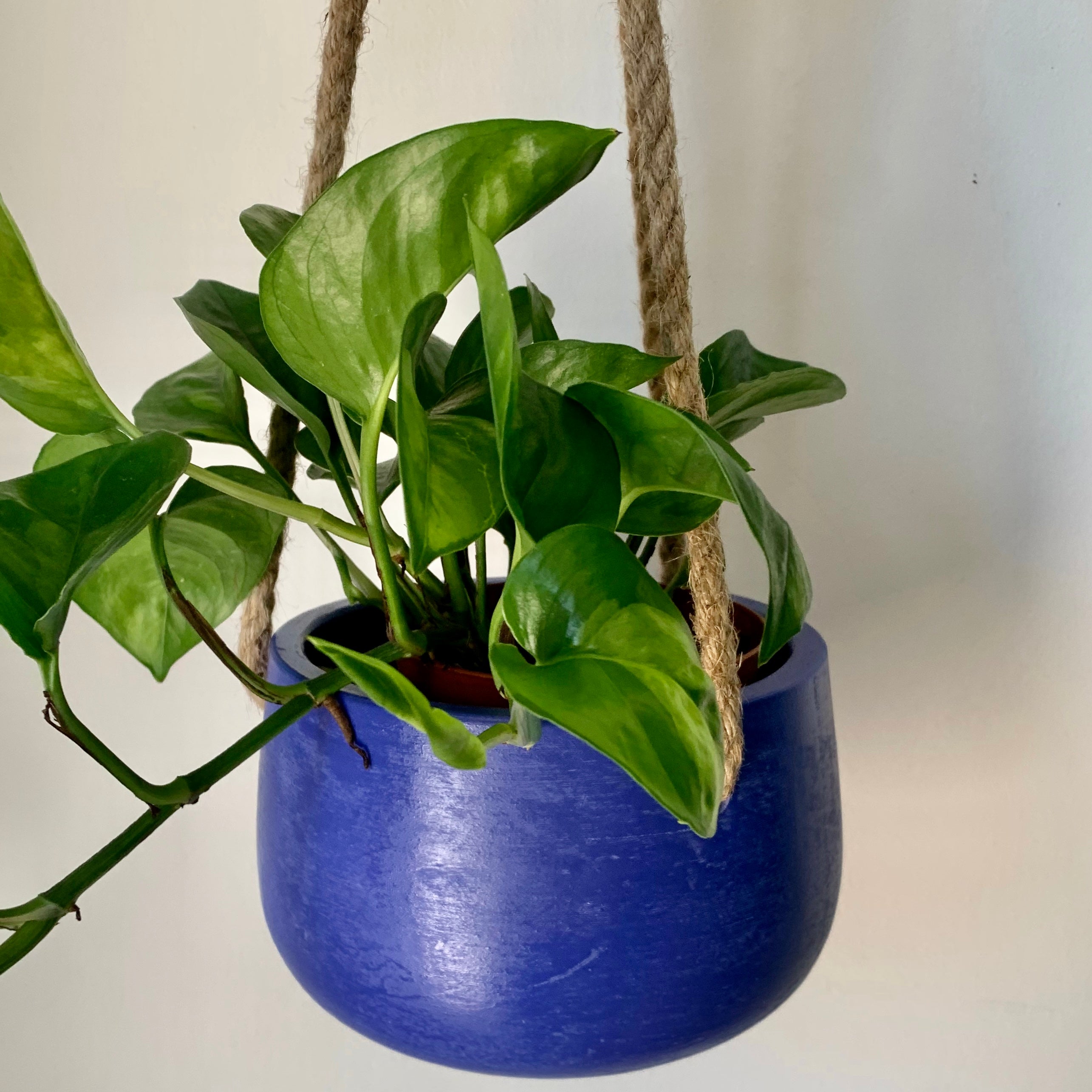ELLA Hanging Planter (5”x3.5”)