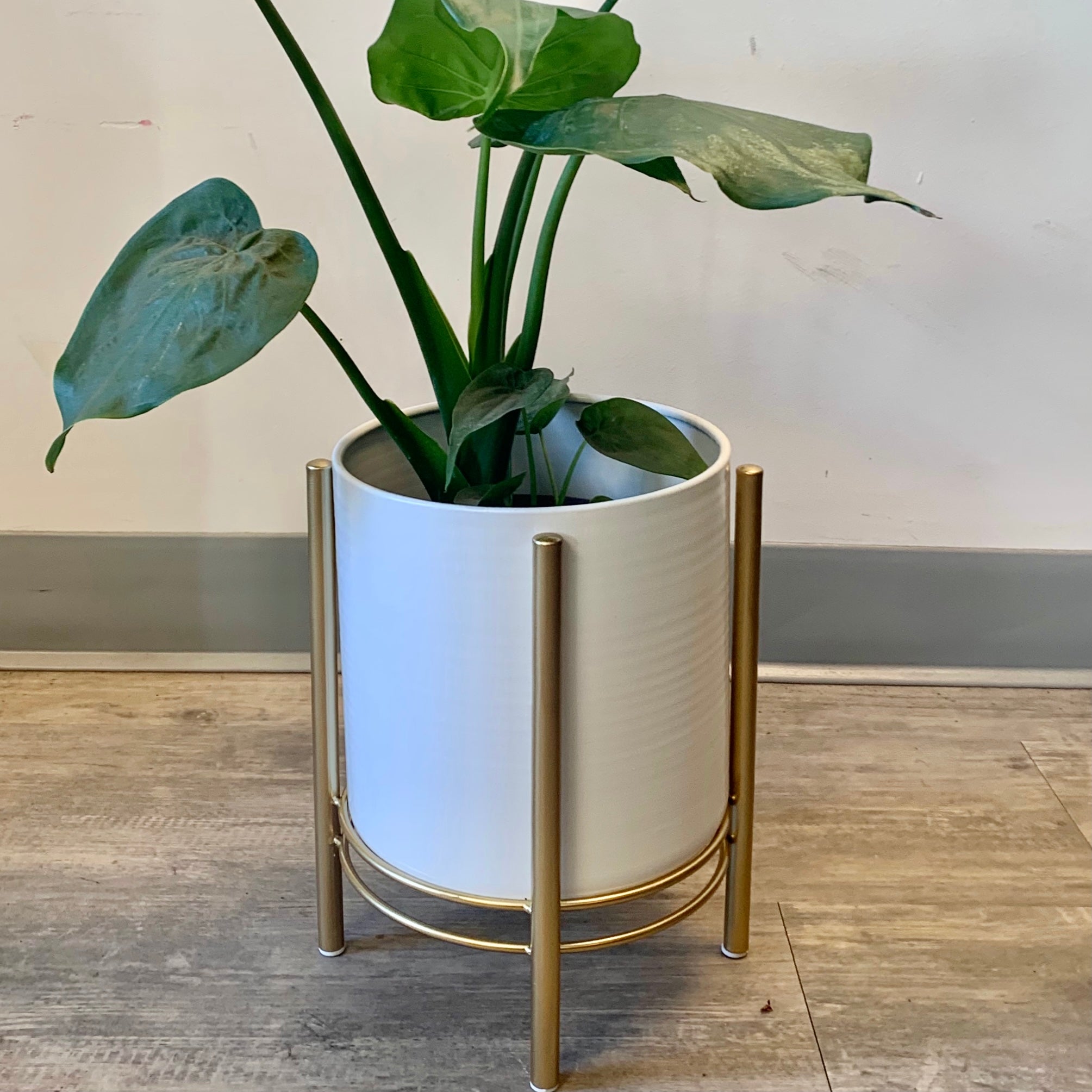 HOLLIS Modern Pot + Stand  6”X7.25” WHITE